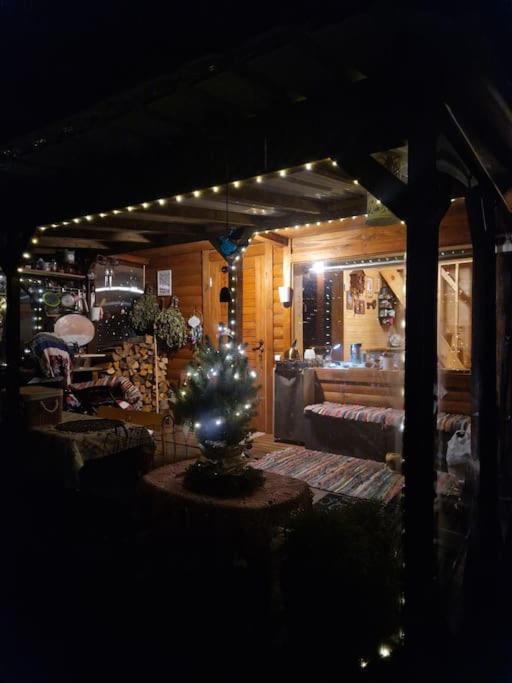 Mini saunahouse