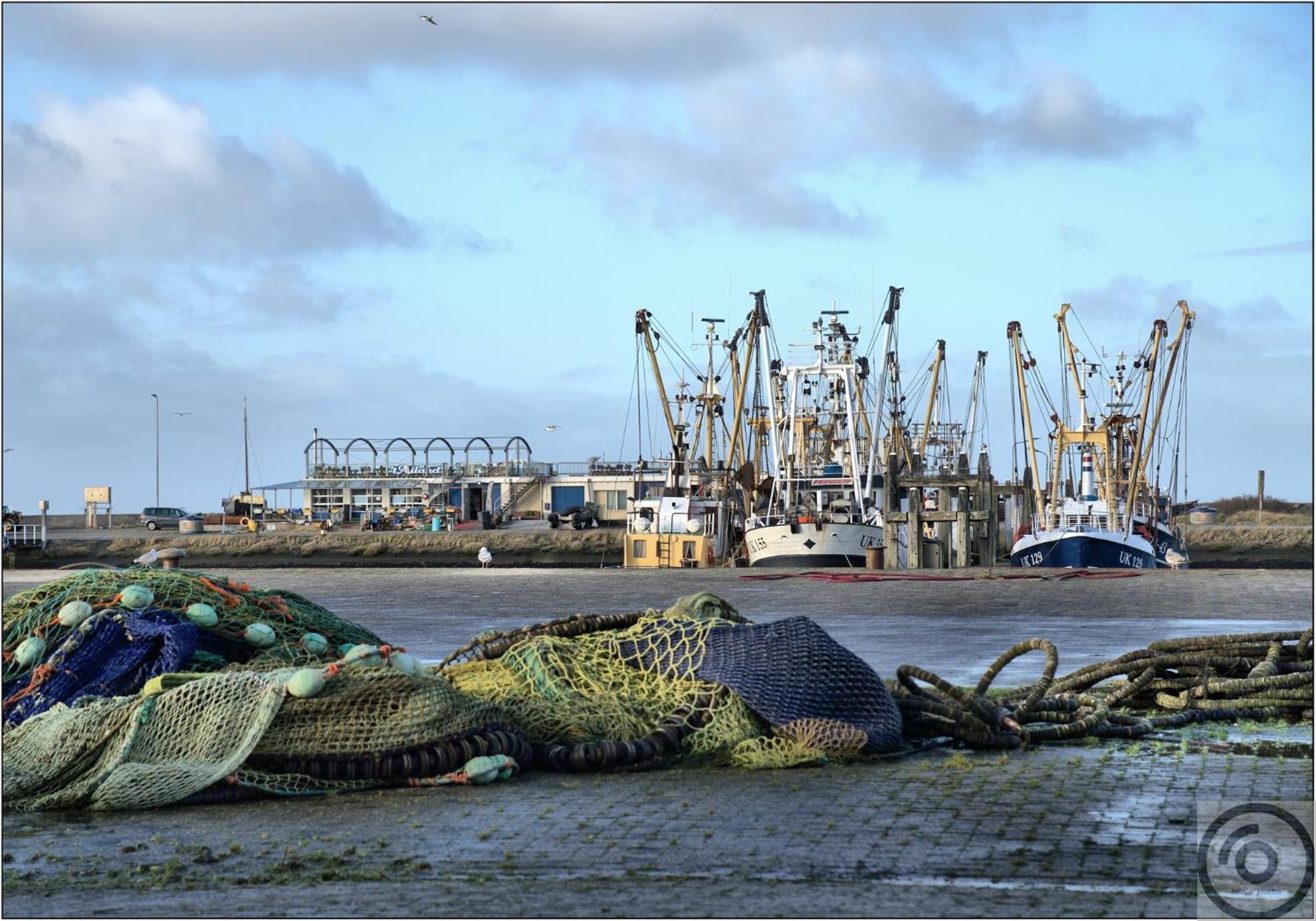 Havenzicht