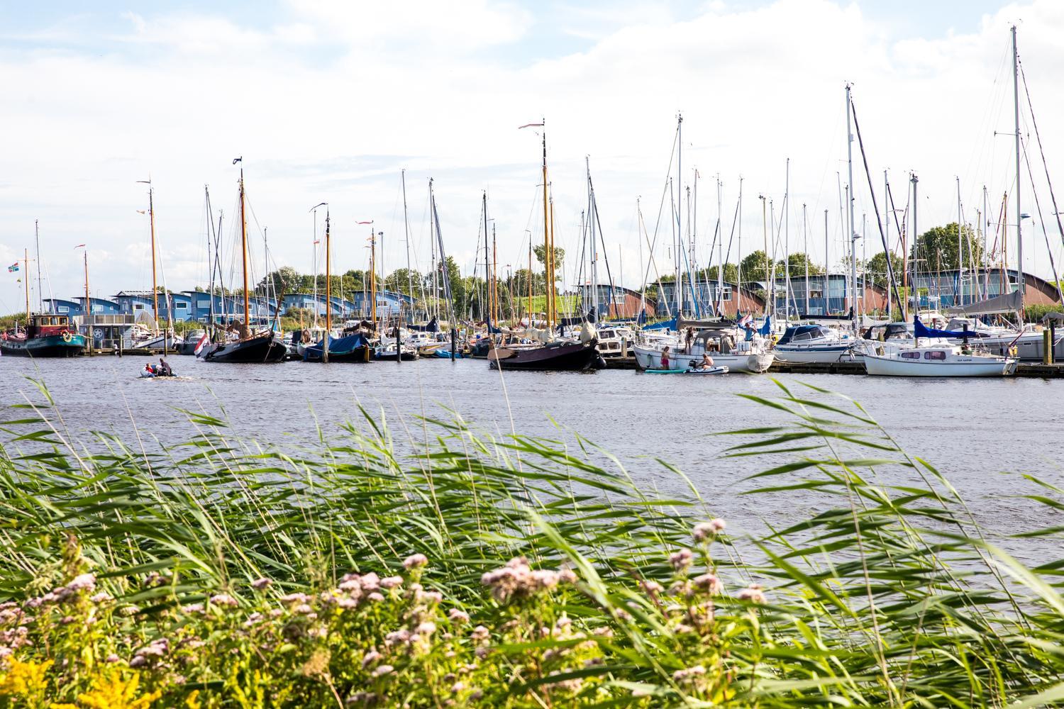 Havenzicht