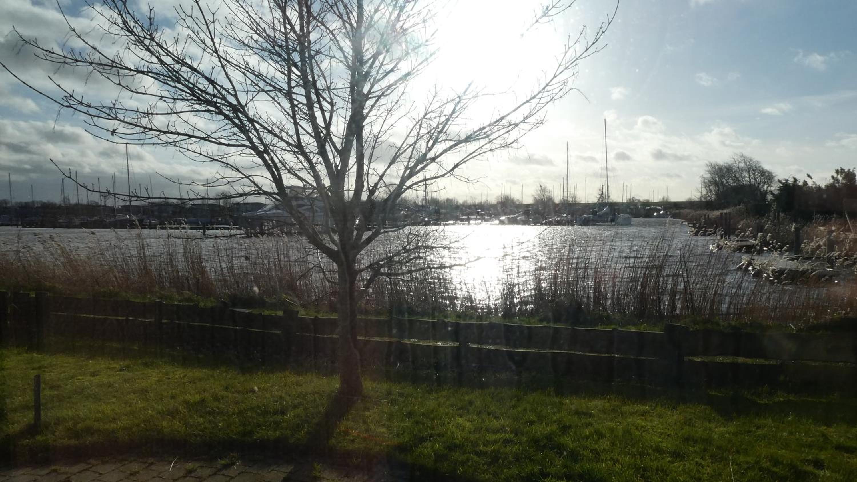 Havenzicht