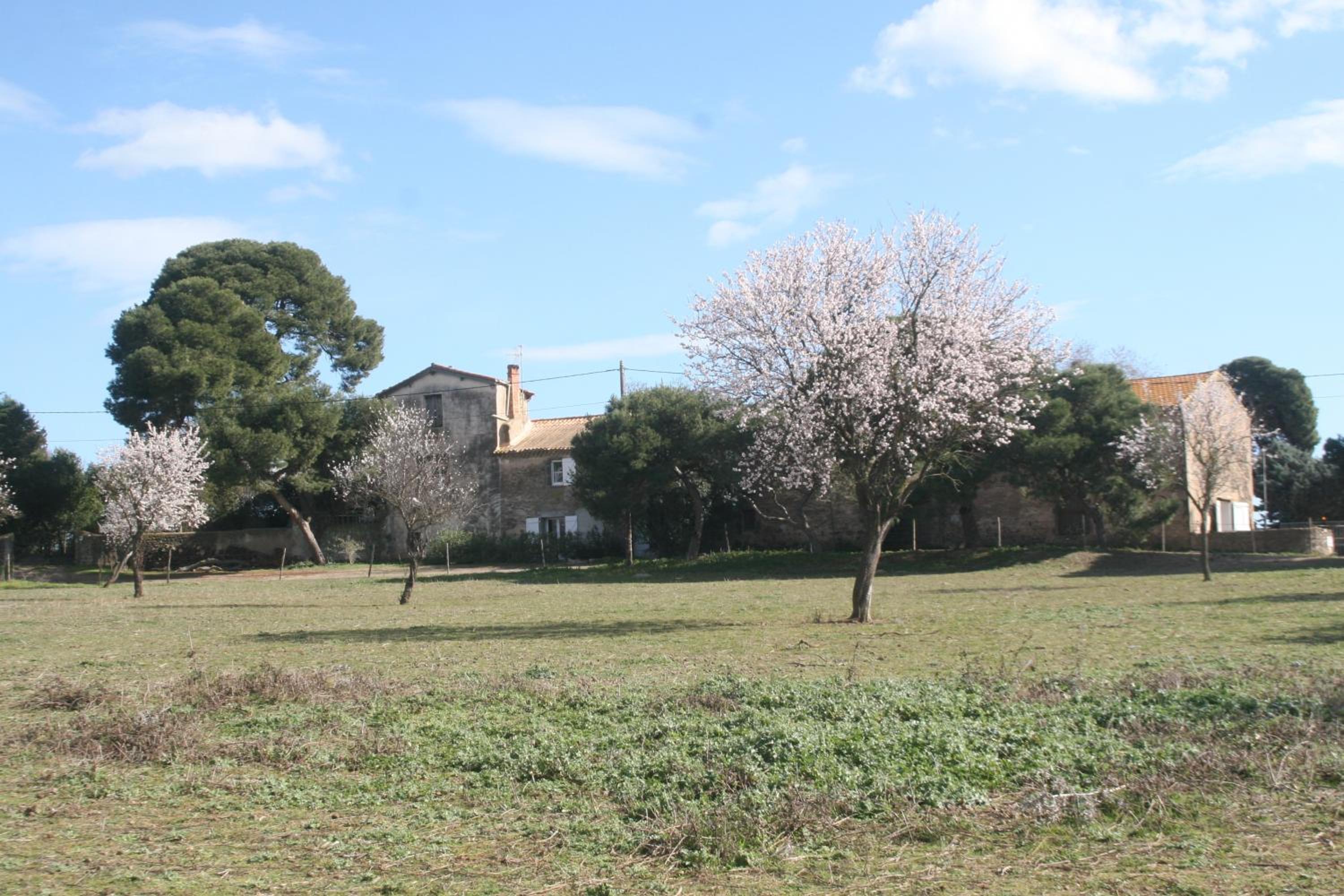Le Gite de la Prunette, photo 12