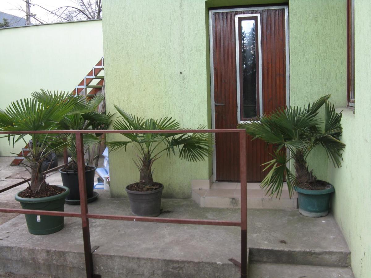 Kárpáti Motel view 2