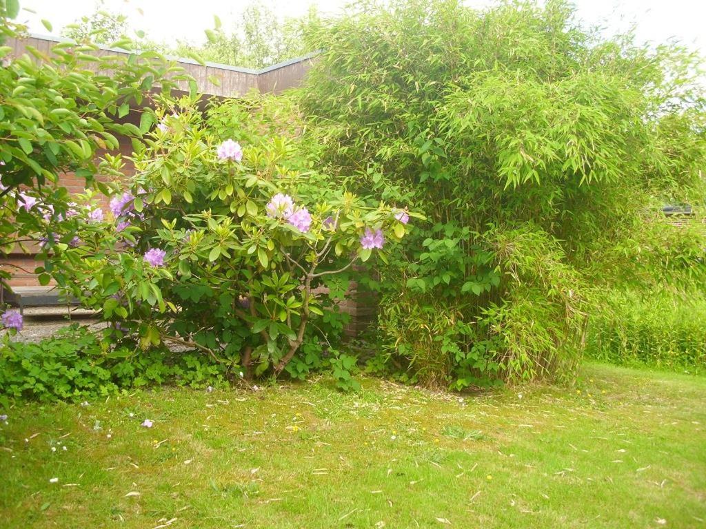 Hus Dungrot