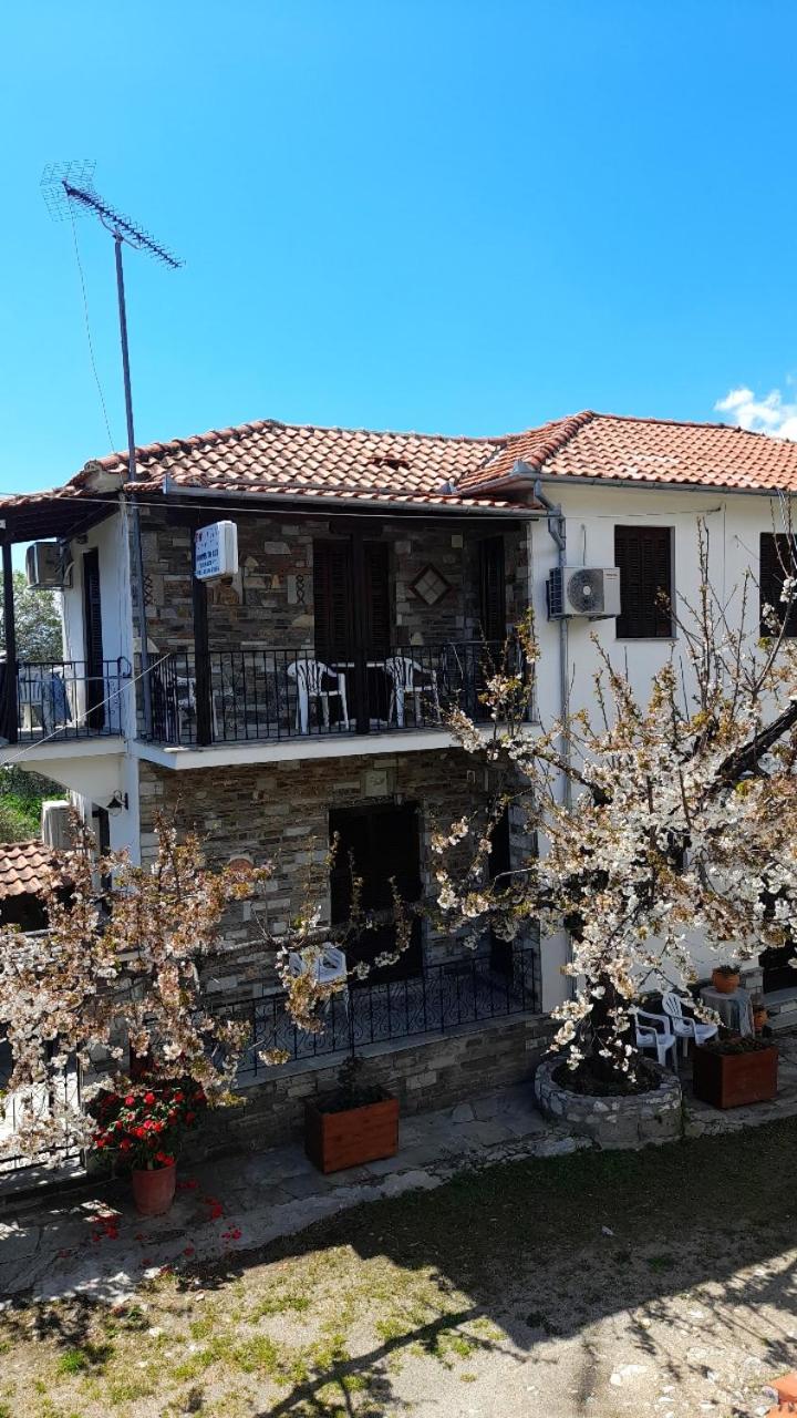 Studio Sevasti