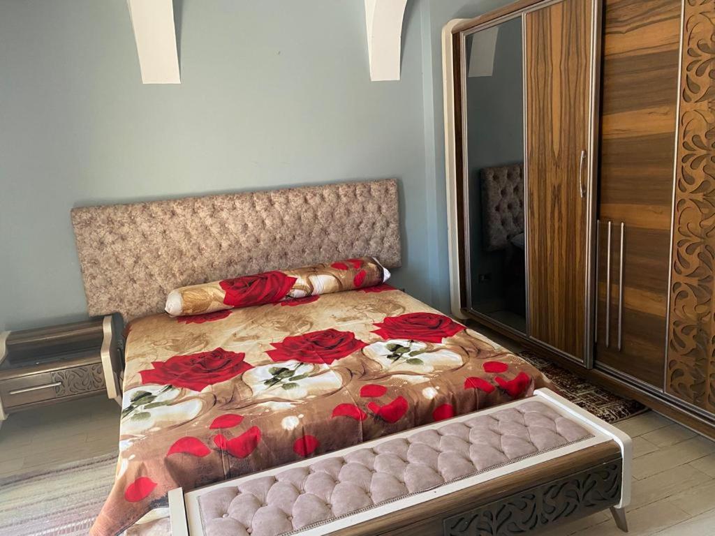 Luxury apartment in front of the AUC