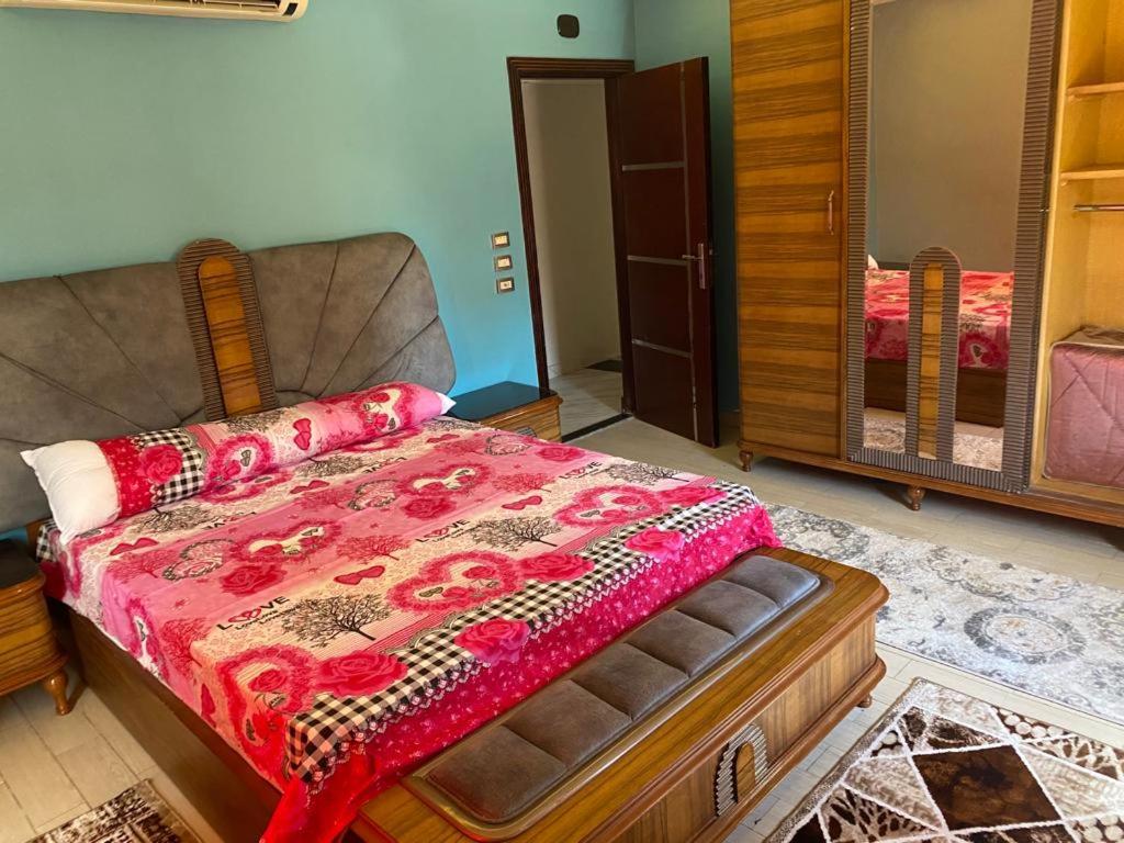 Luxury apartment in front of the AUC