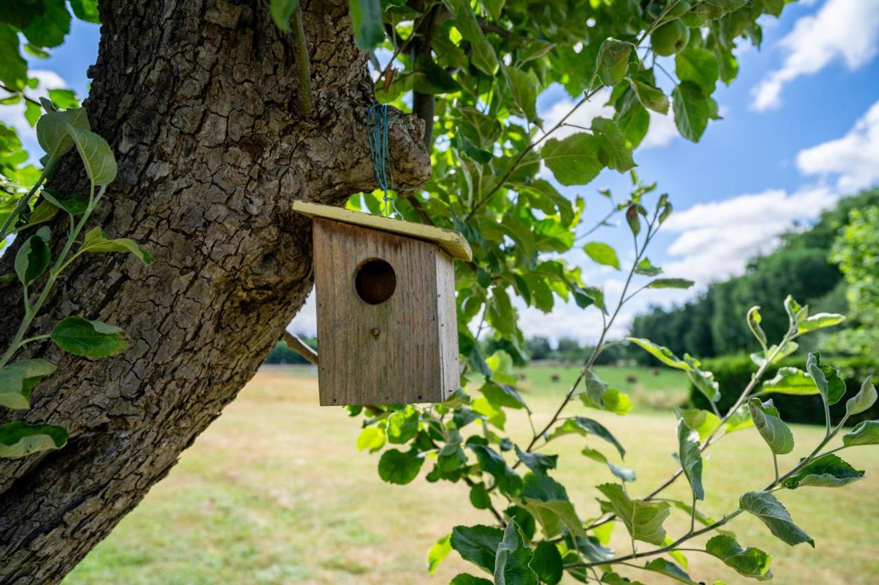 Ferienwohnung Storchennest