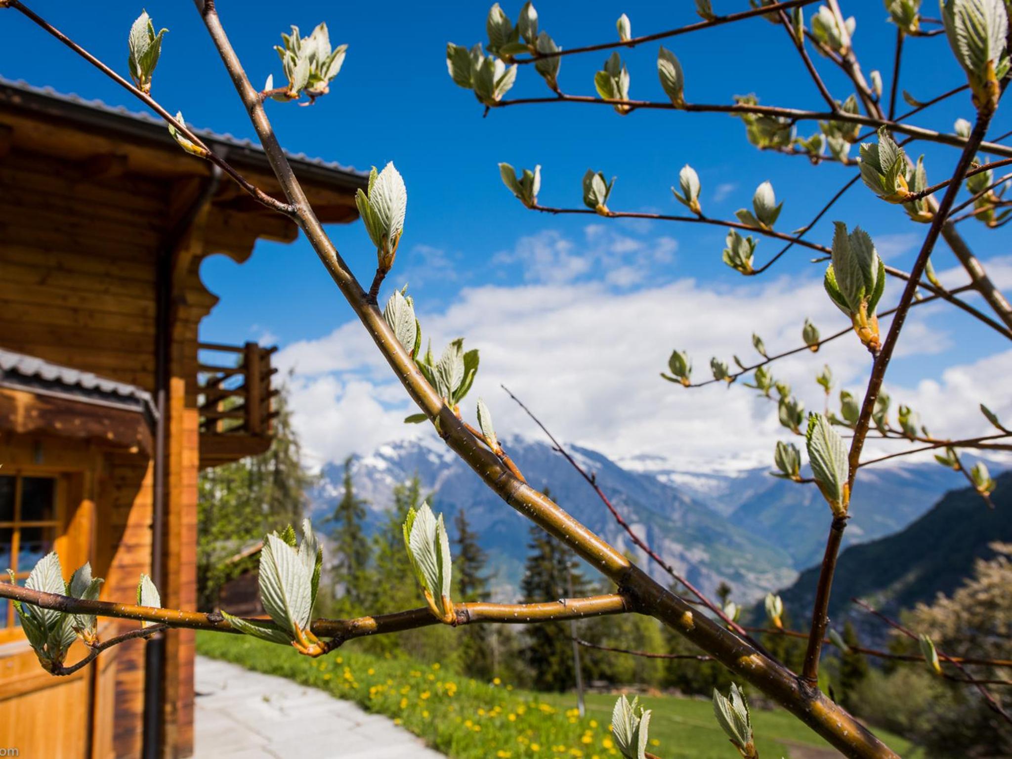 Chalet Colonia view 4