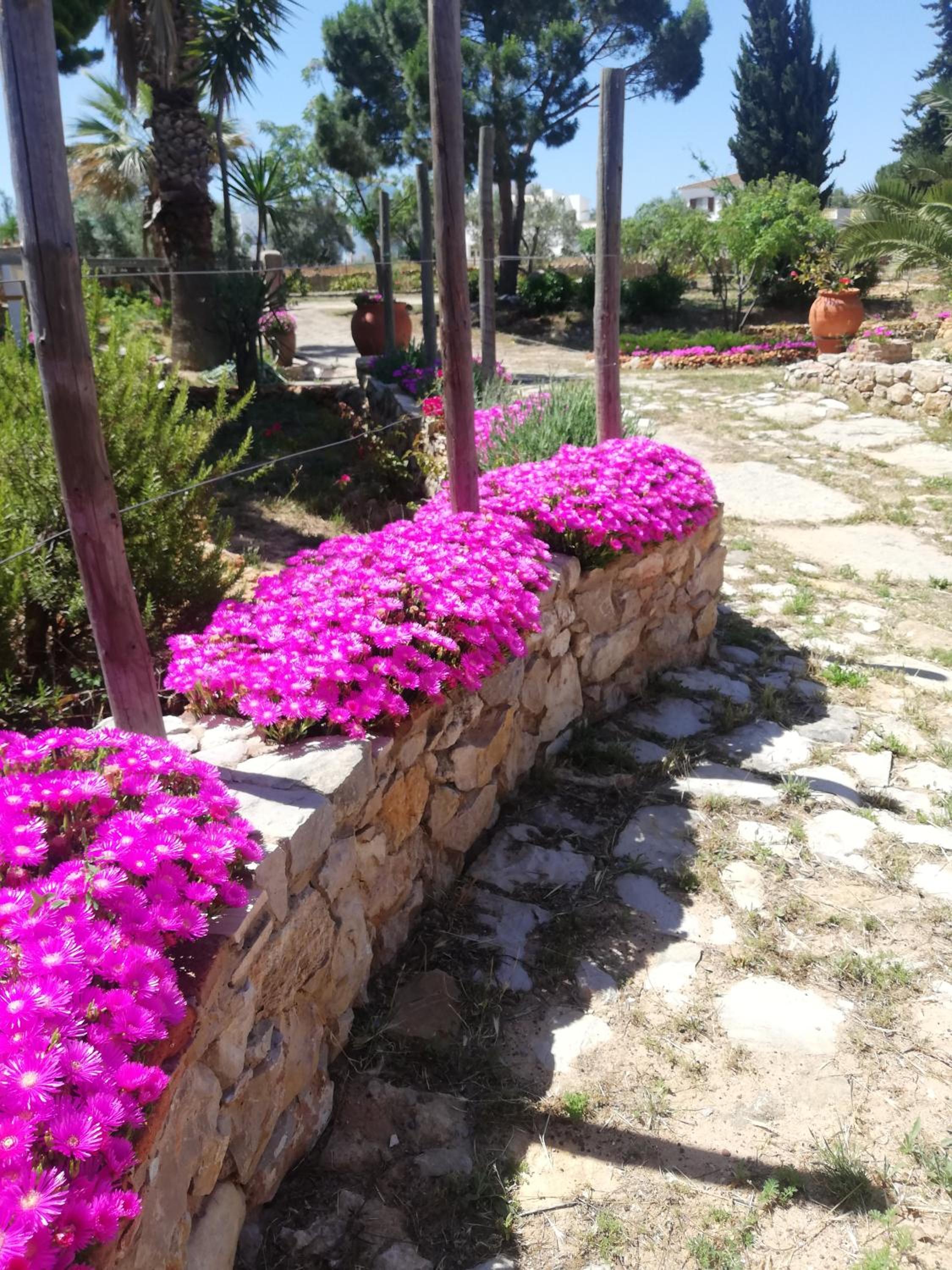 Monte Viana view 3