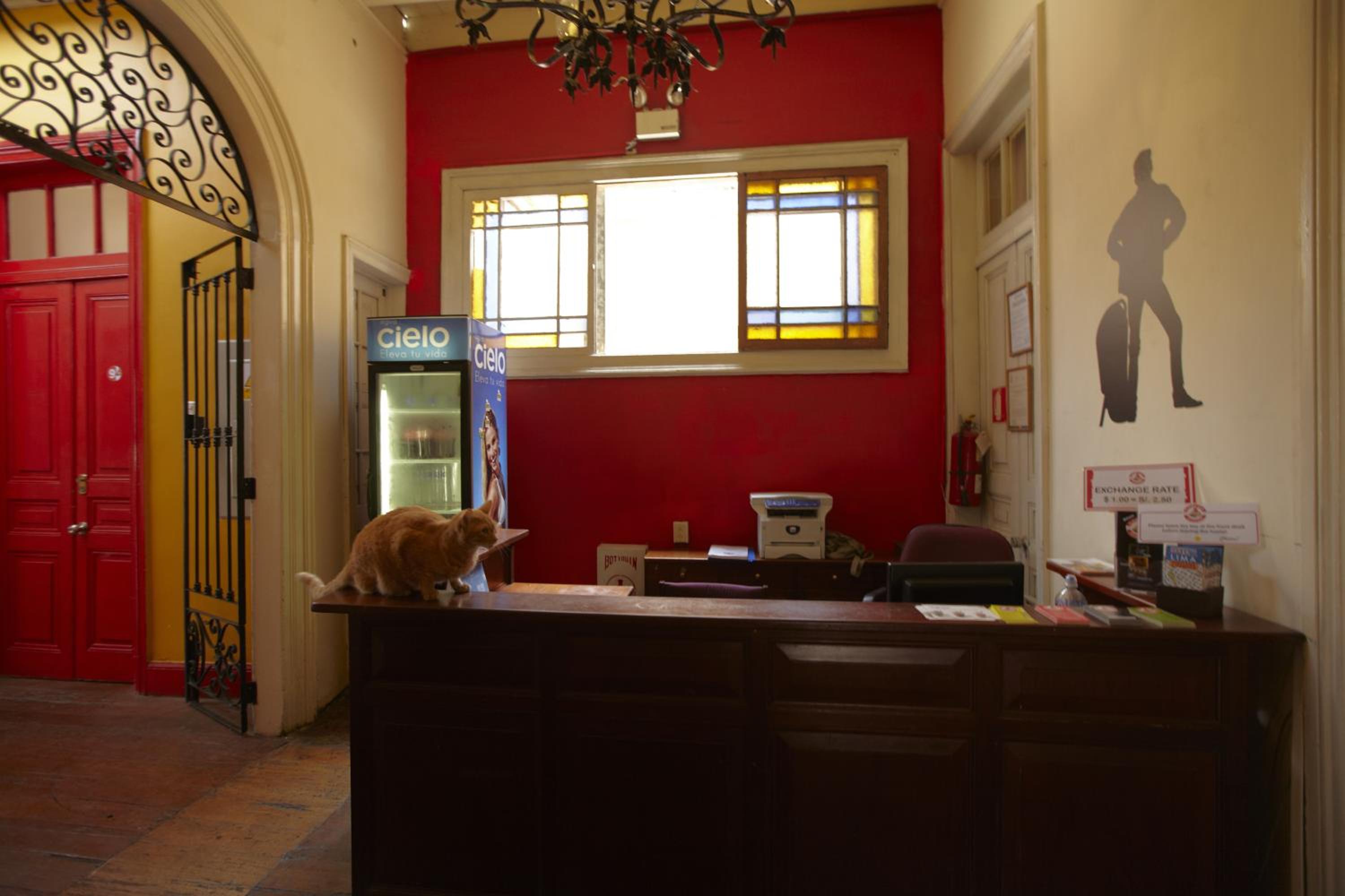 Flying Dog Hostel