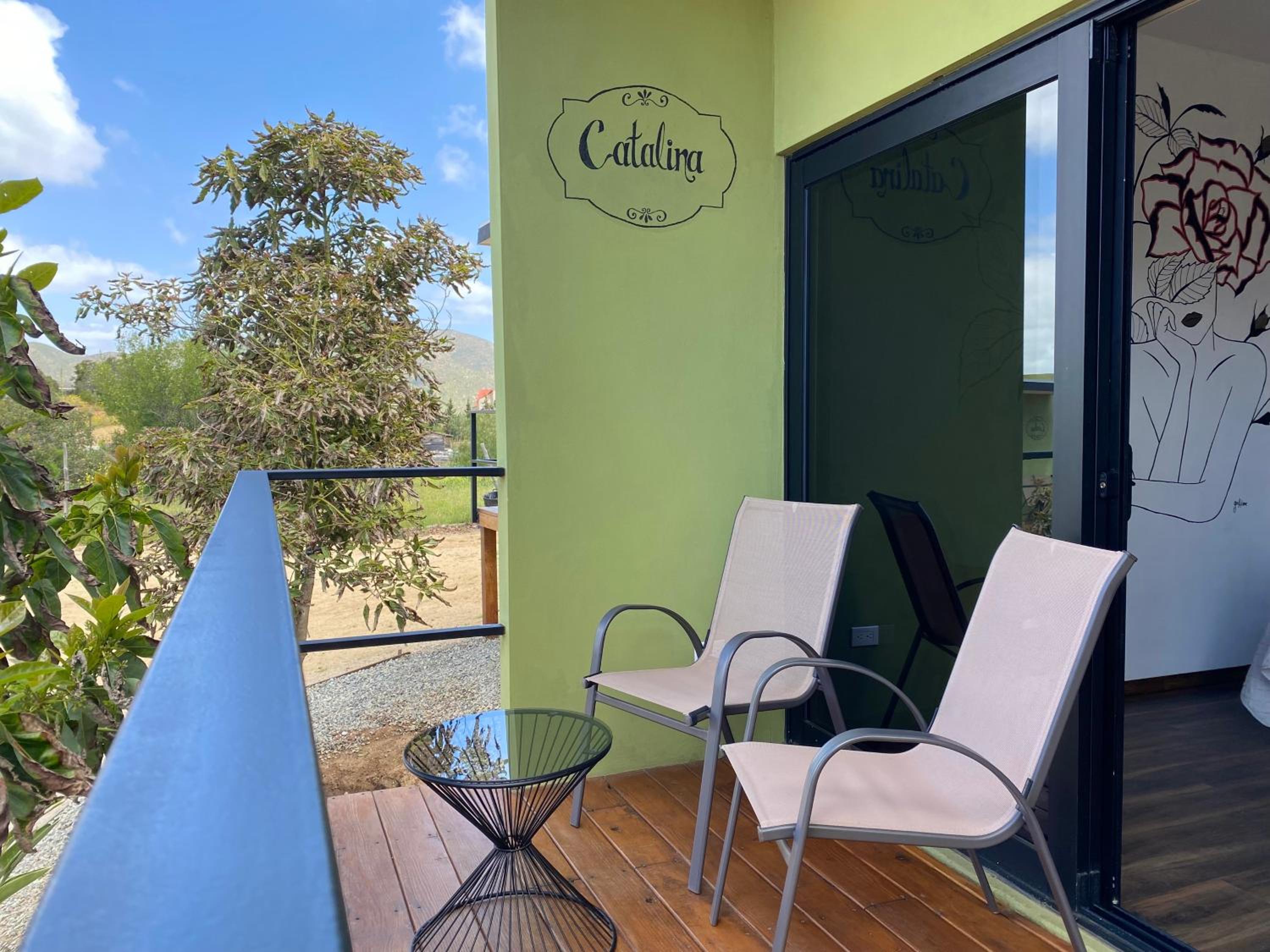 Photo 31