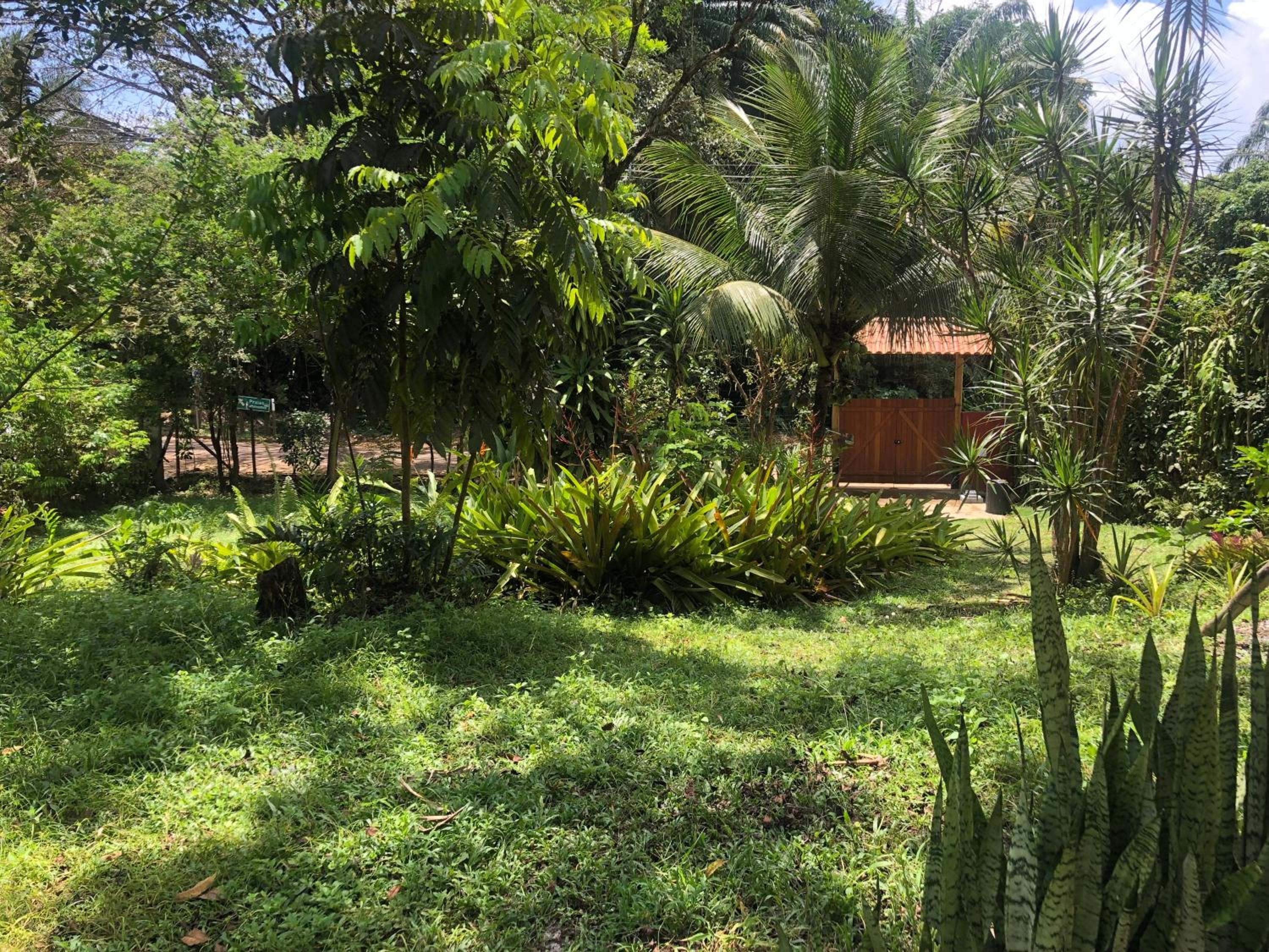 Vila Enayá