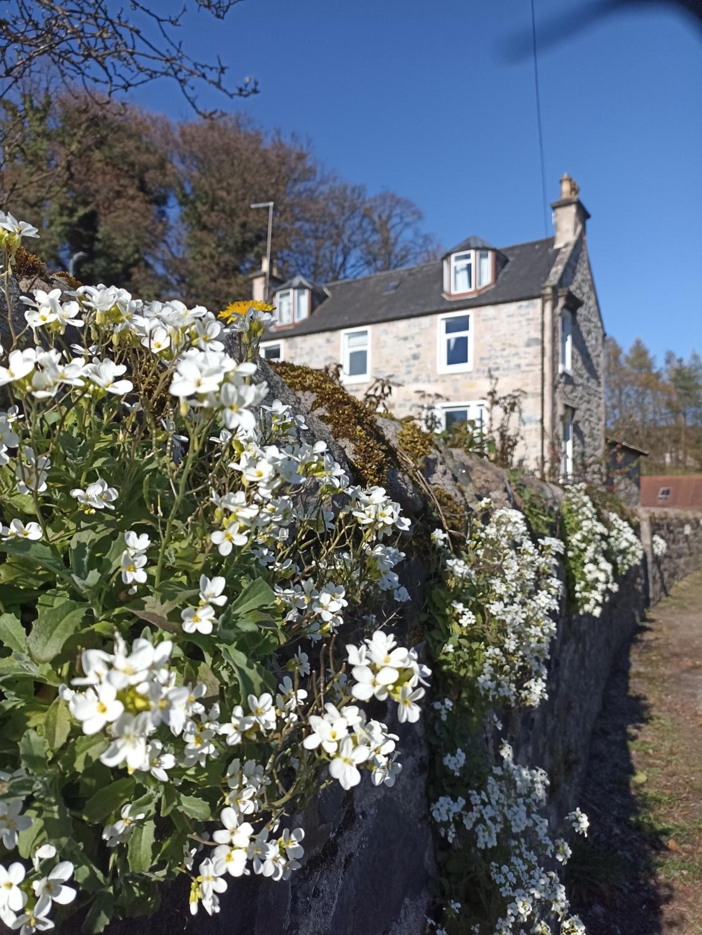 Abbeyfield B&B view 3