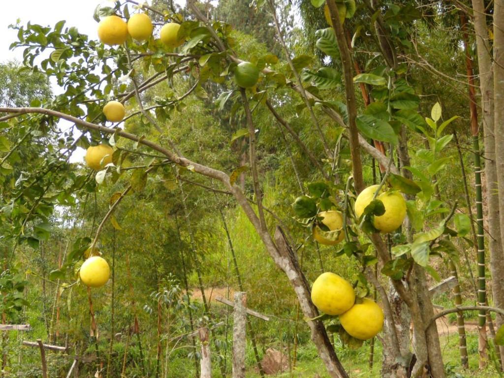 5ta SARoCO Hacienda Biocultural y Agroecoturistica