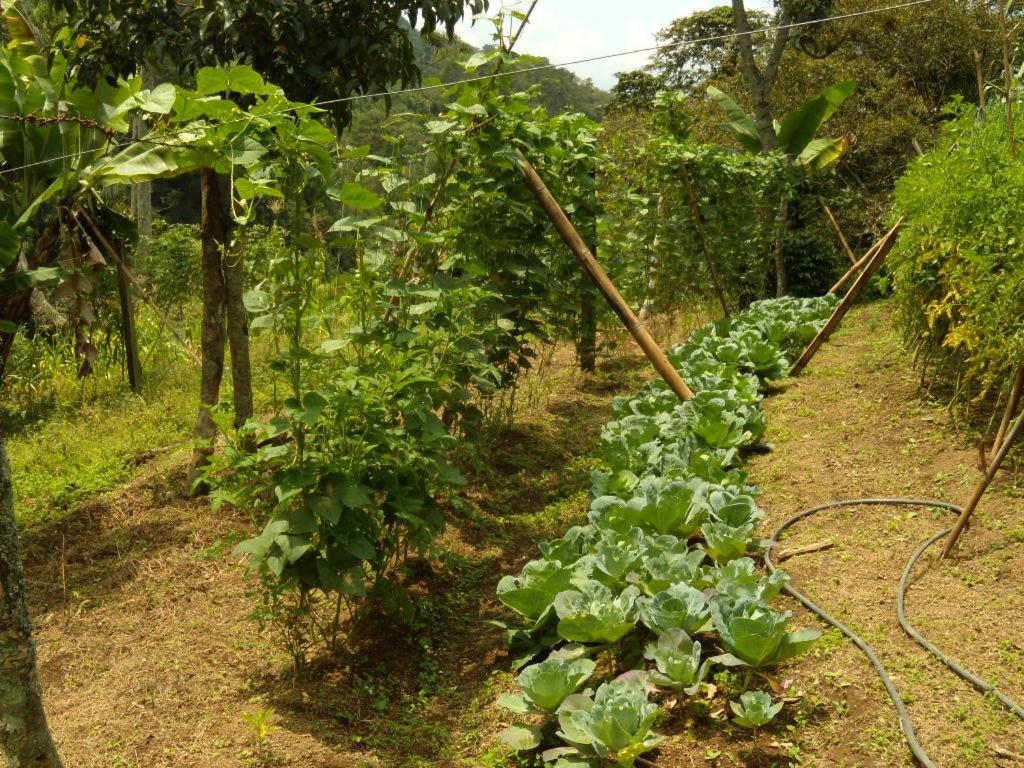 5ta SARoCO Hacienda Biocultural y Agroecoturistica