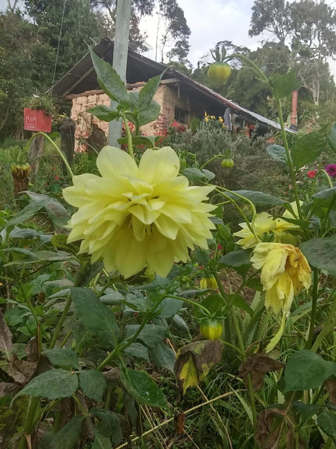 5ta SARoCO Hacienda Biocultural y Agroecoturistica