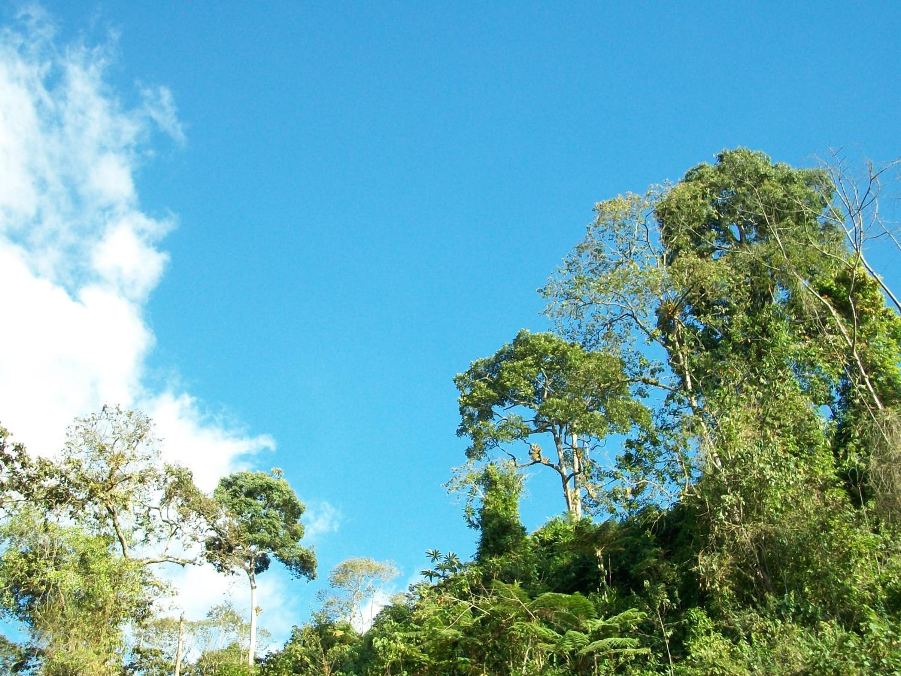 5ta SARoCO Hacienda Biocultural y Agroecoturistica