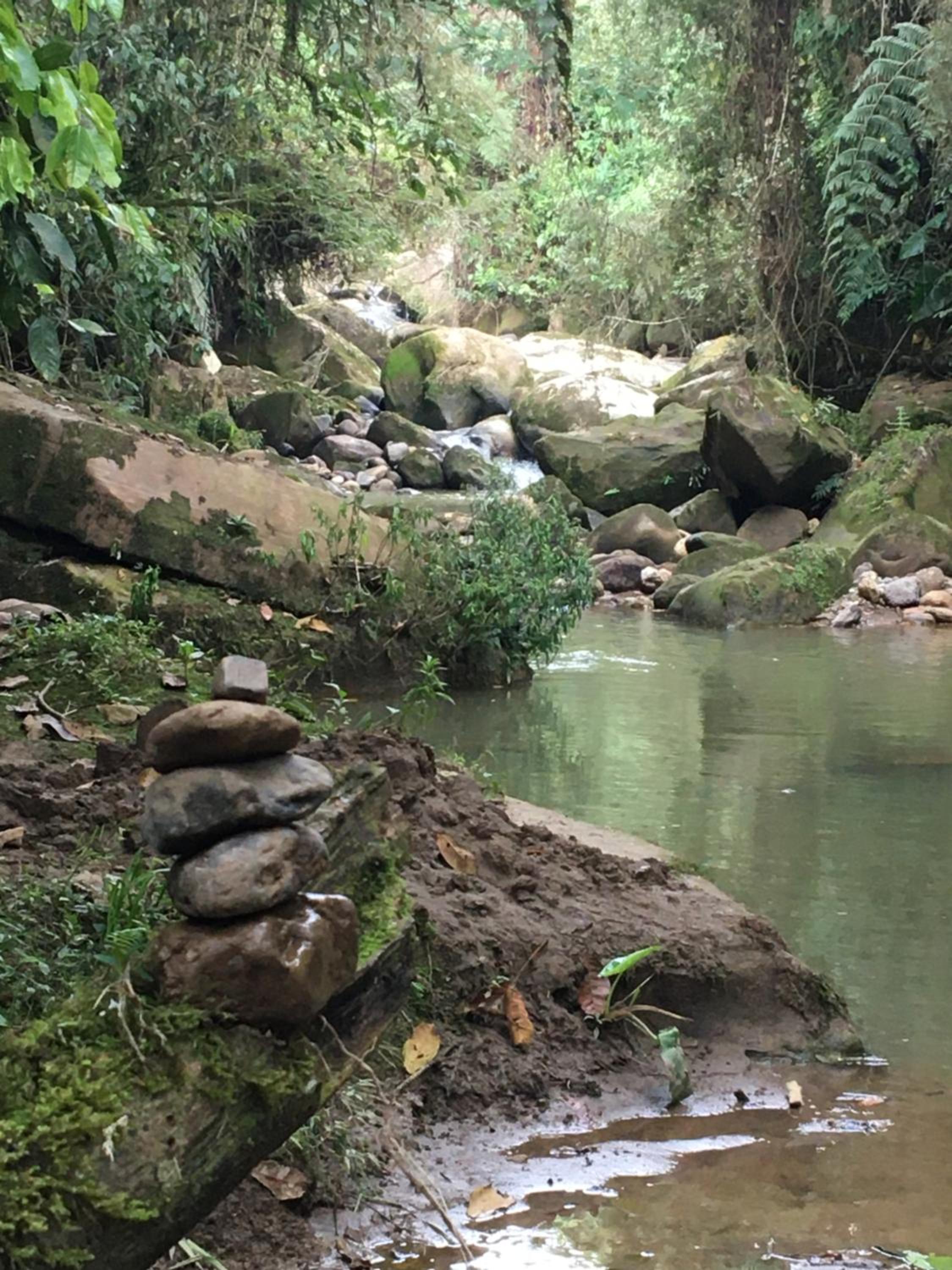 5ta SARoCO Hacienda Biocultural y Agroecoturistica