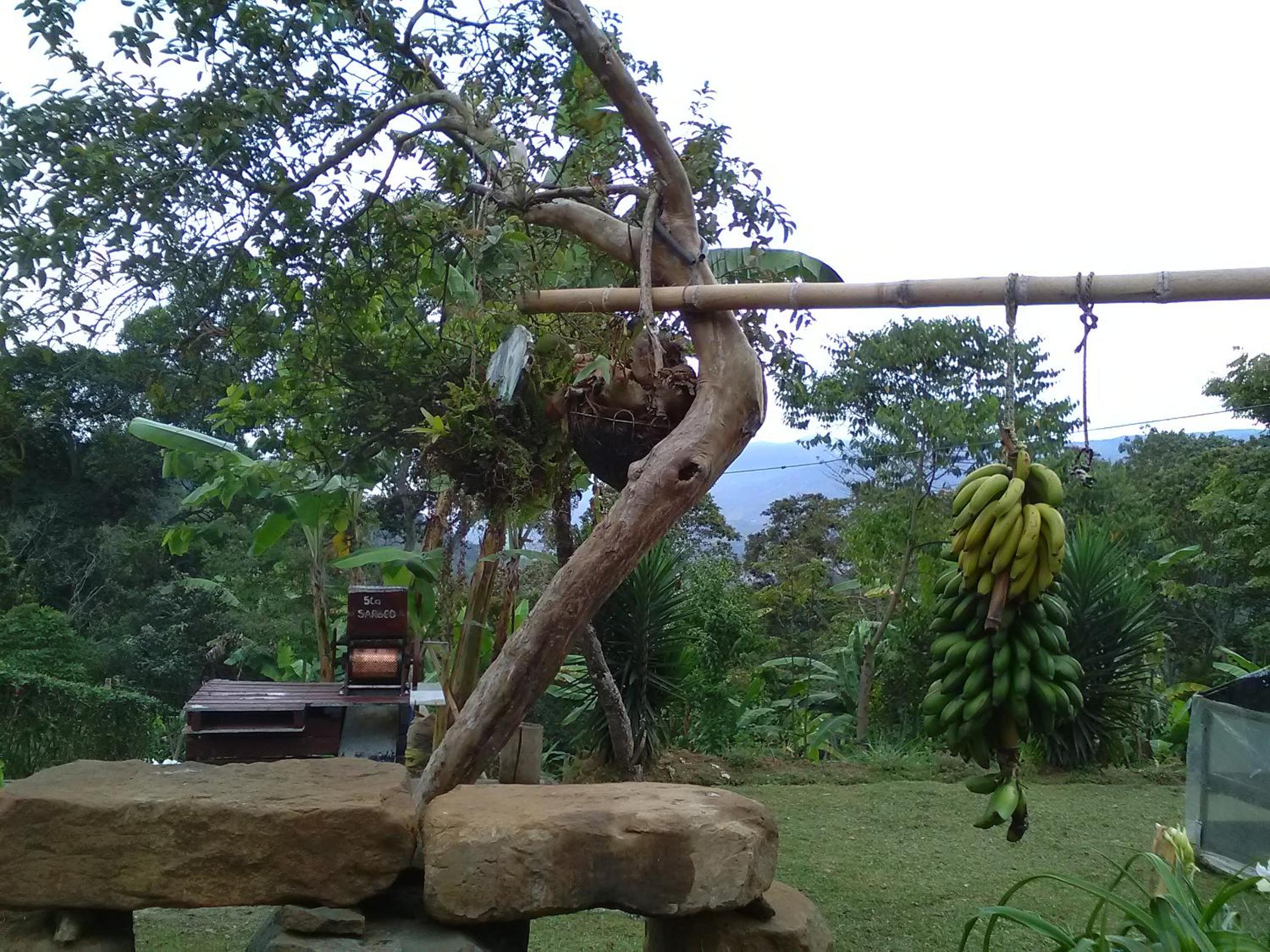 5ta SARoCO Hacienda Biocultural y Agroecoturistica