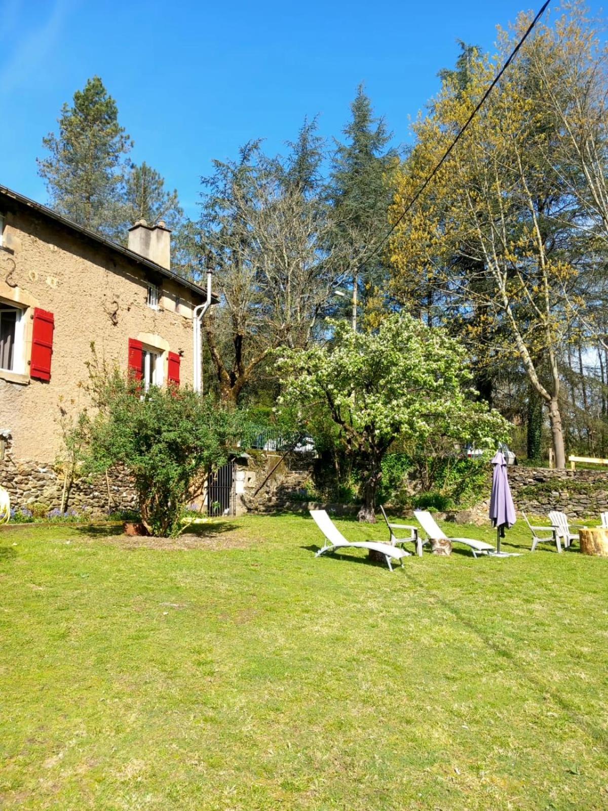 Photo 43