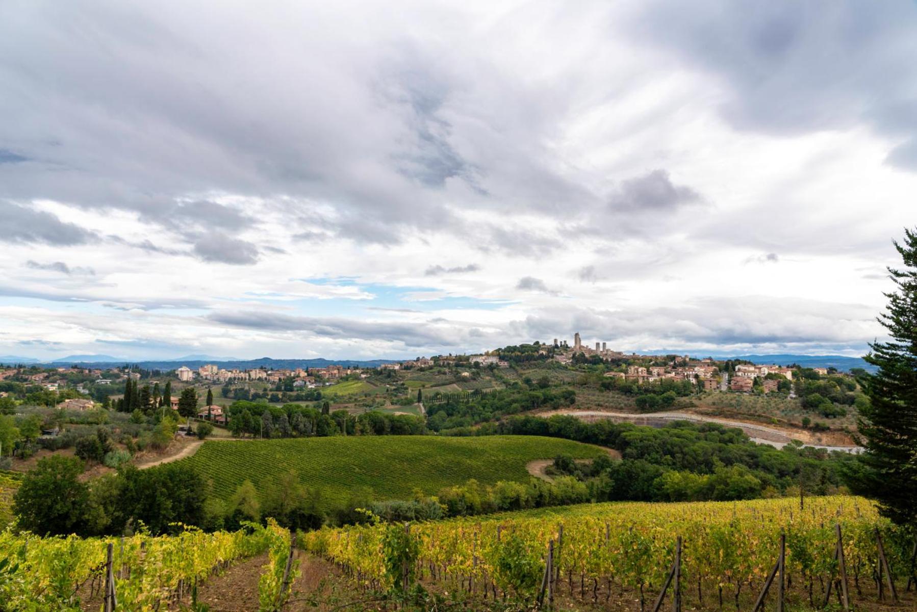 Podere Bellavista