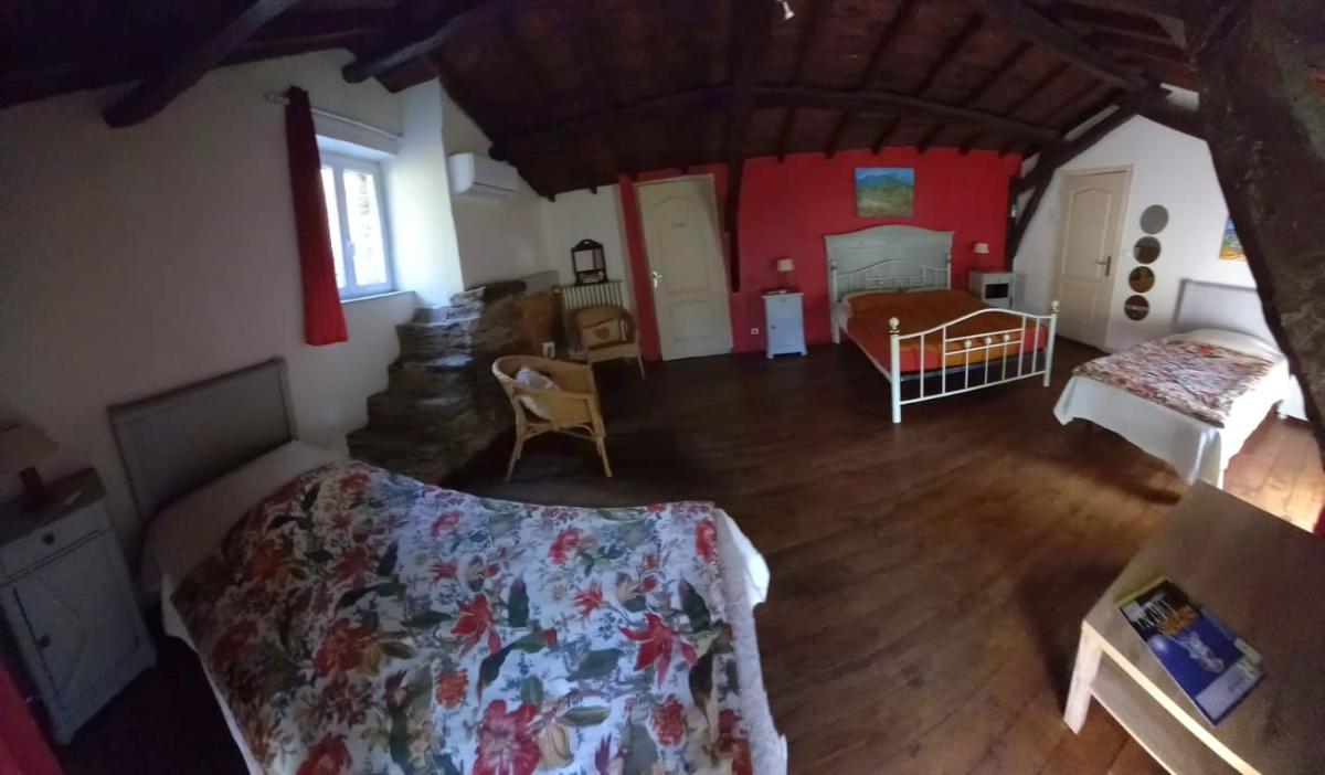 Photo 42