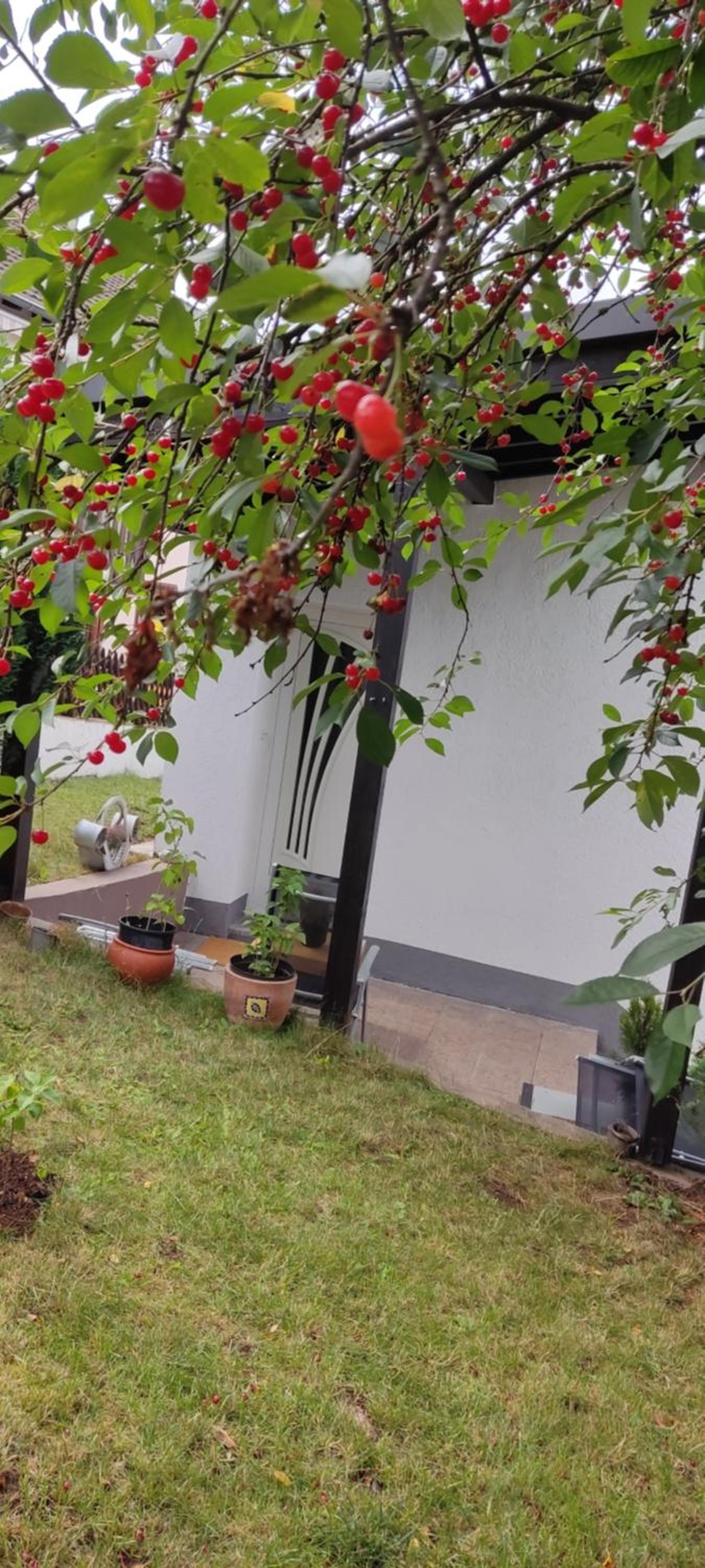 APPARTEMENT GEICHLINGEN