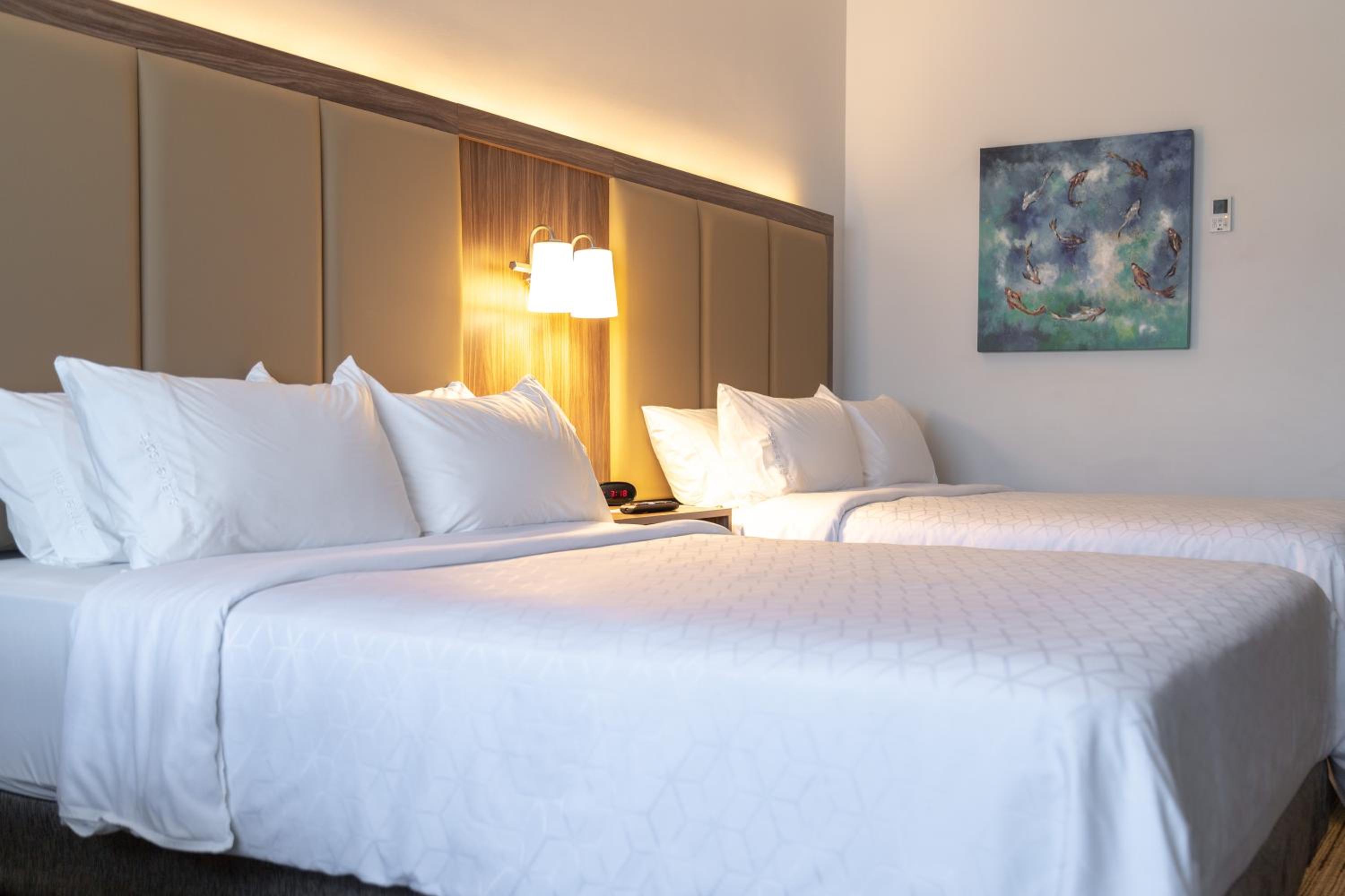 Ensenada Vacations - Holiday Inn Express Suites - Ensenada Centro, an IHG Hotel - Property Image 55