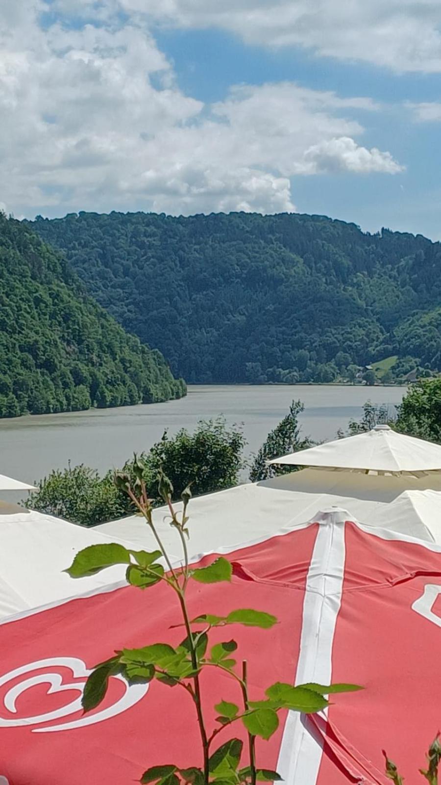 Gasthaus zur blauen Donau
