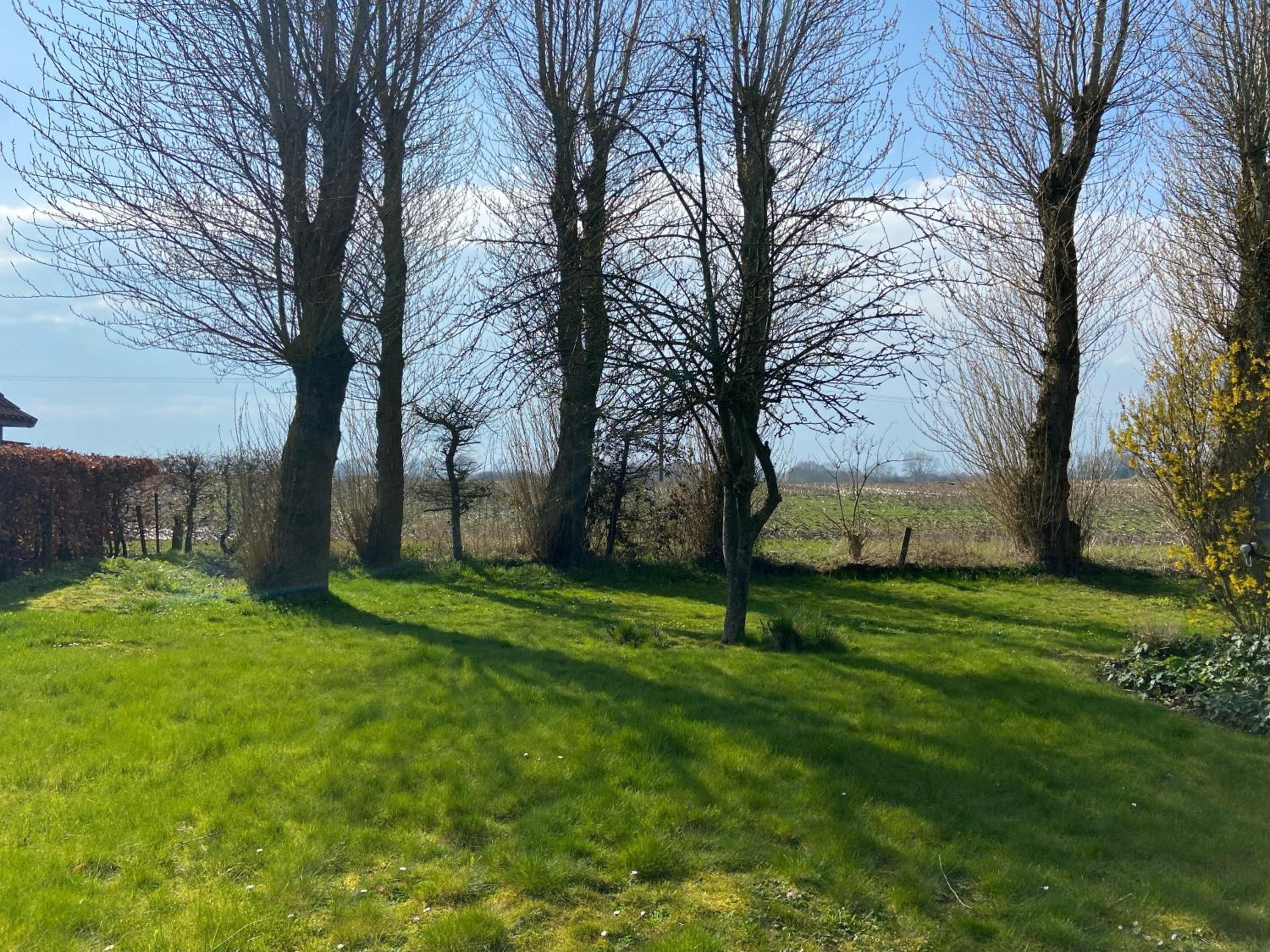Kätchens Glück