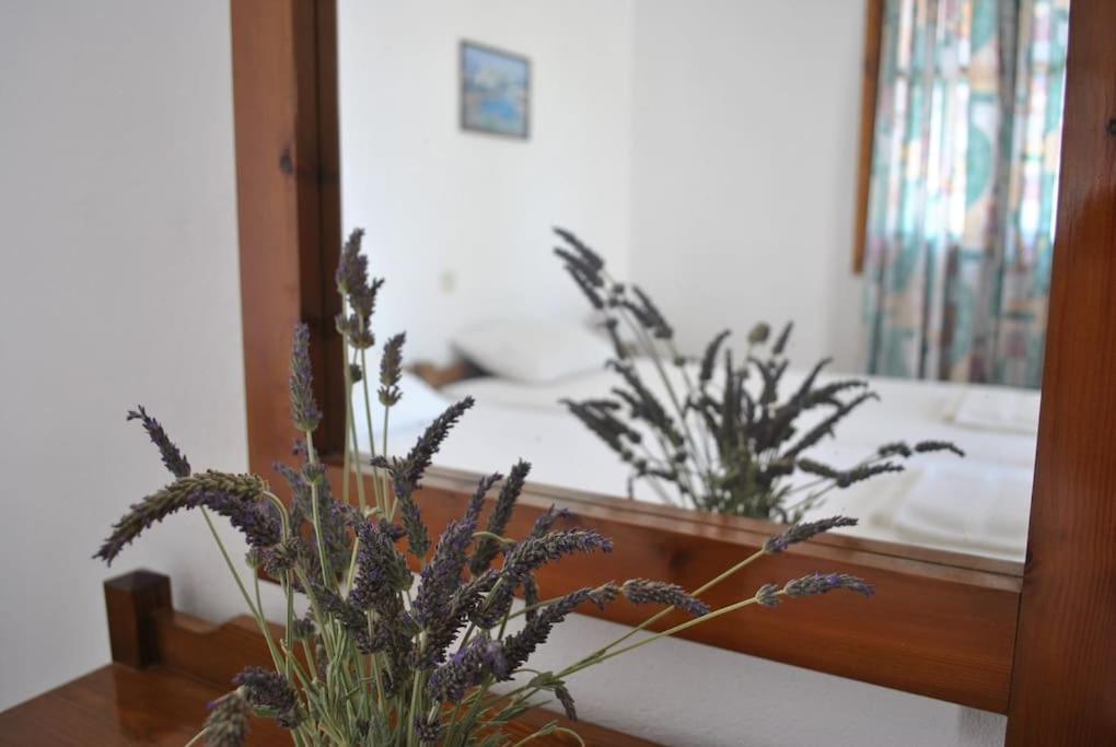 Antigoni Apartments 'Lavender Room' view 2