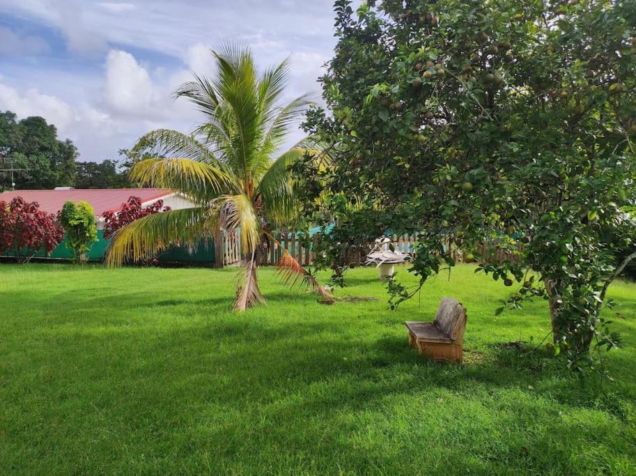 Villa familiale avec piscine view 4
