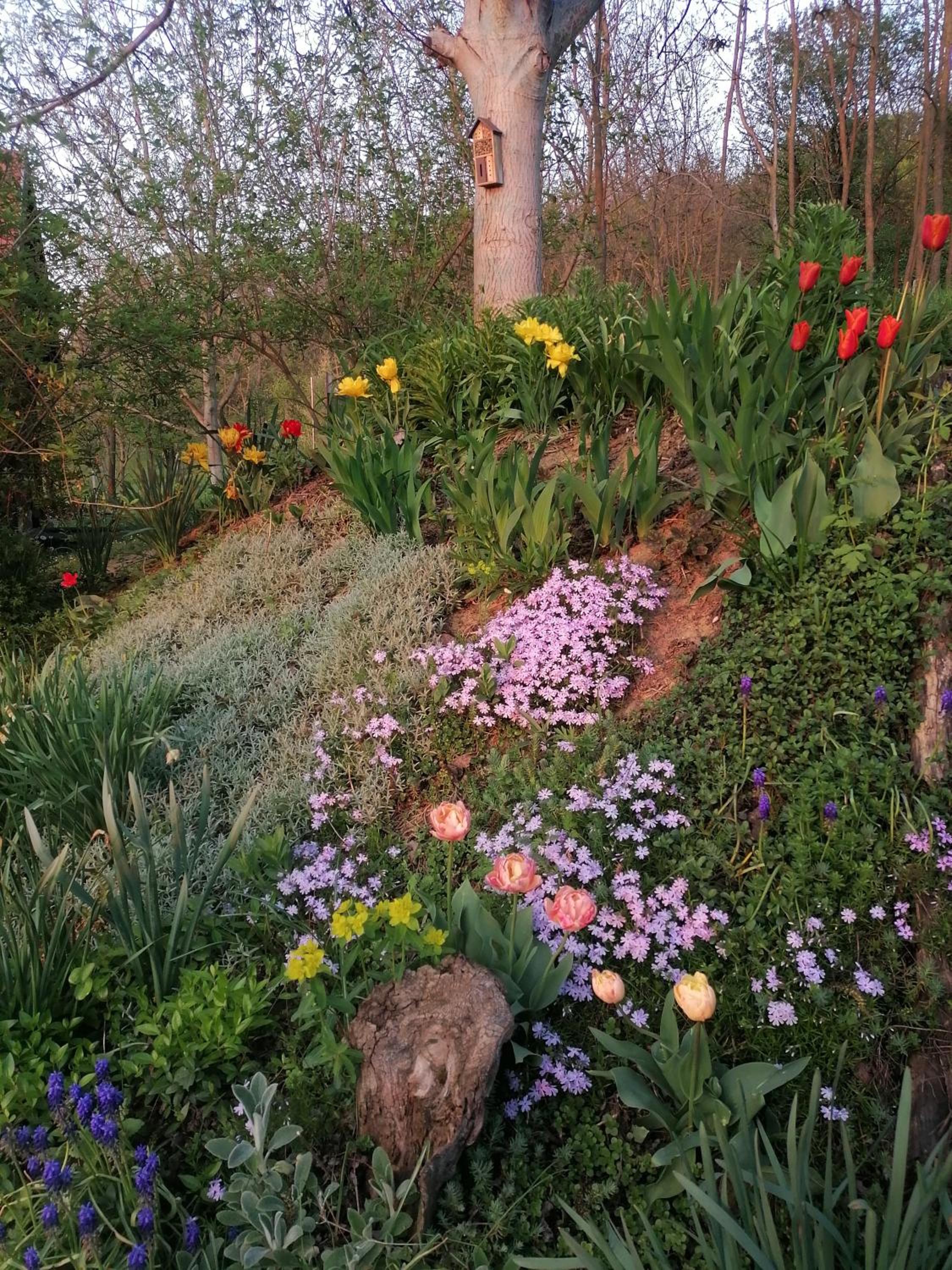 Photo 14
