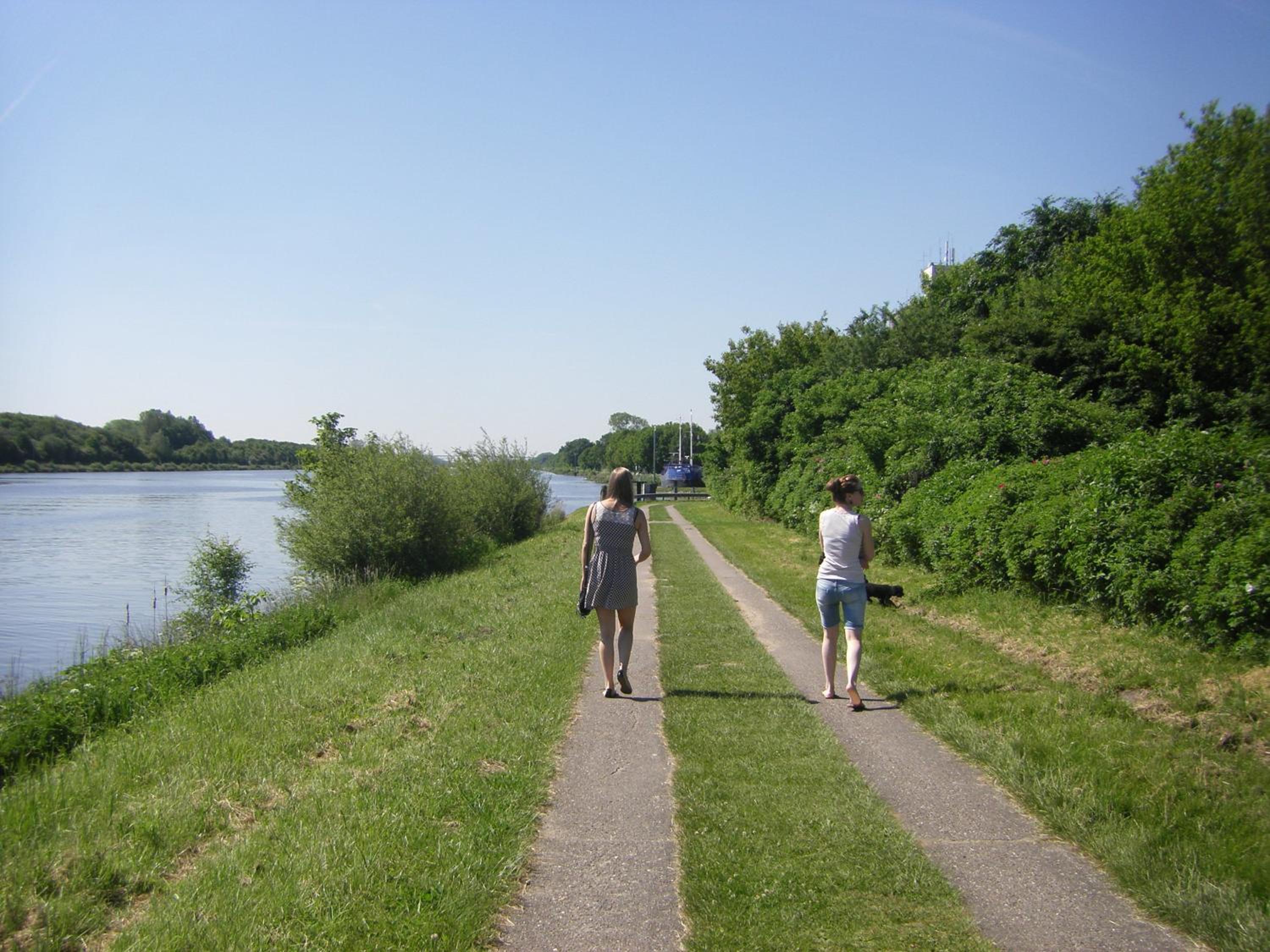 Photo 44