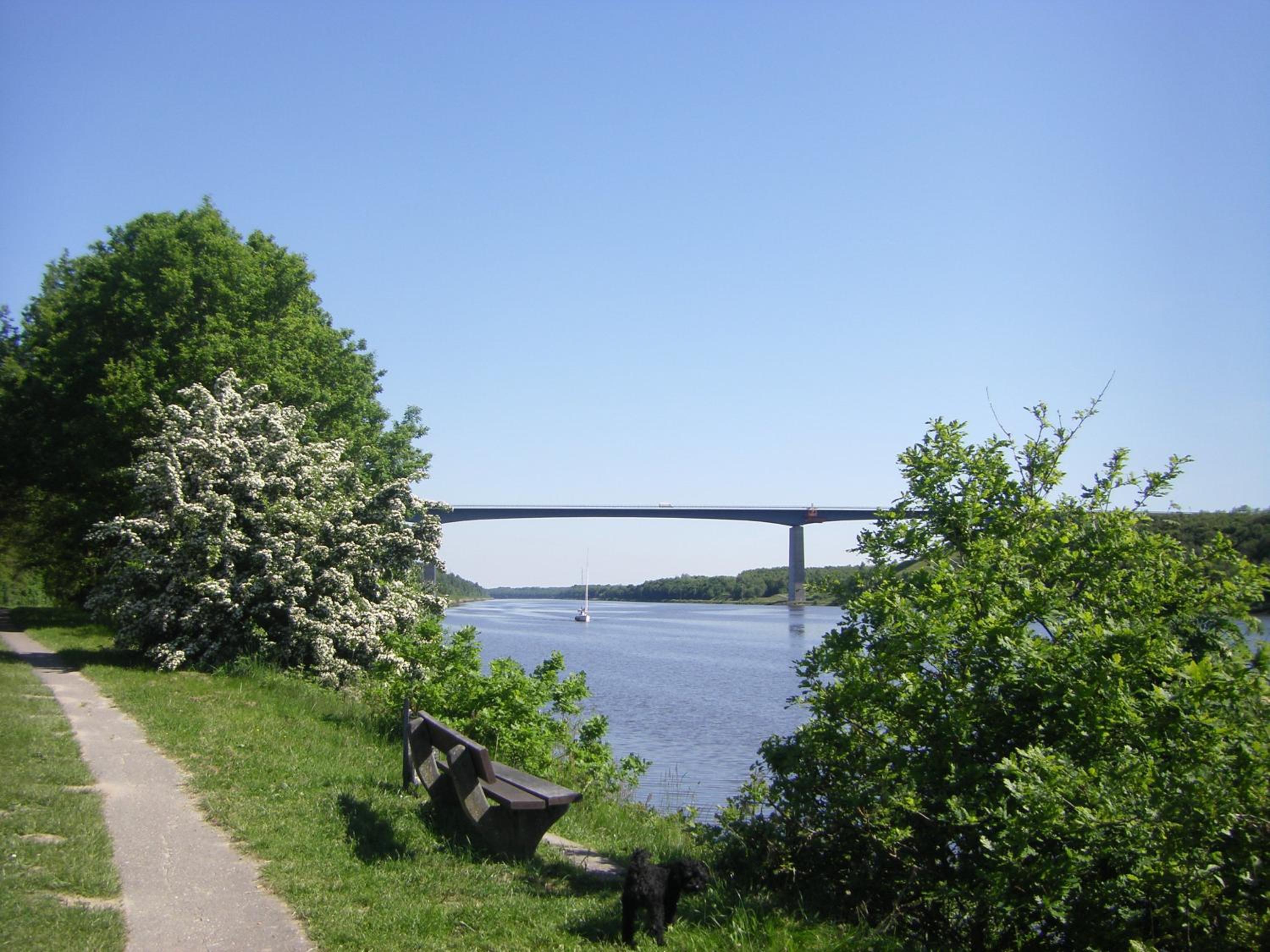 Photo 46