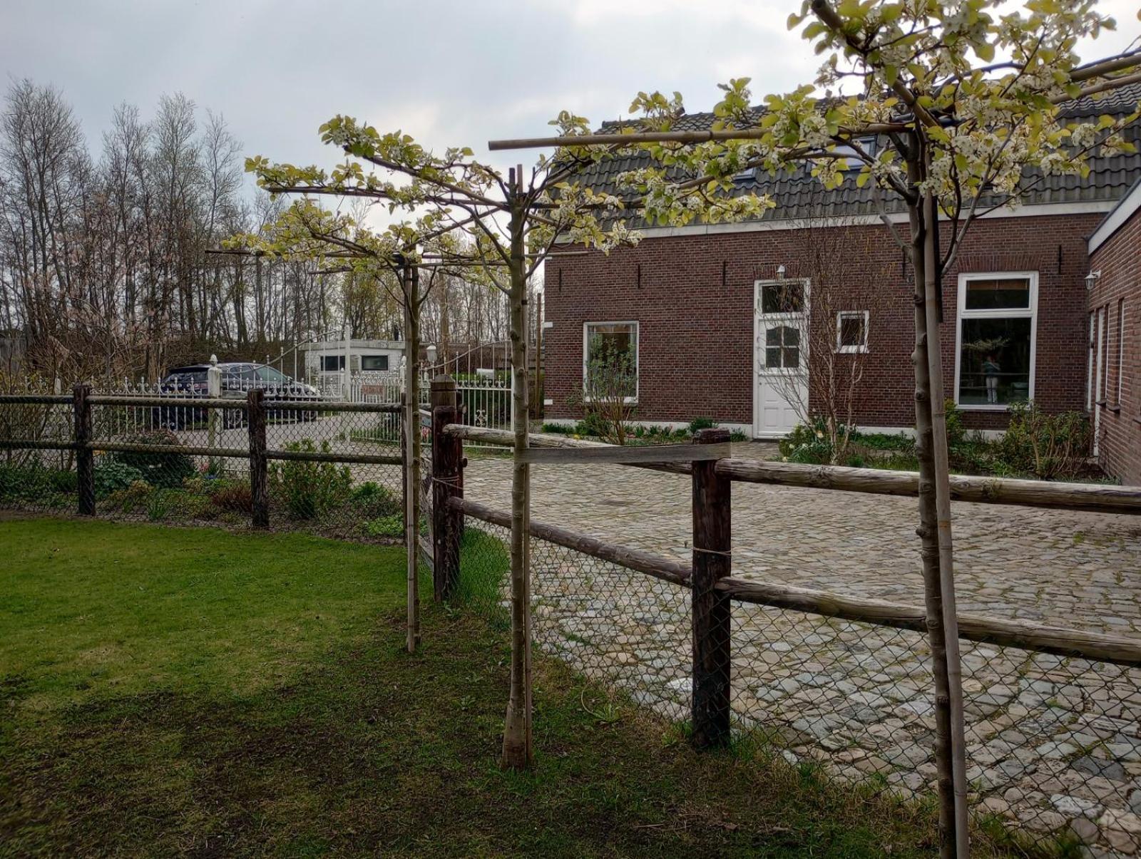 Photo 19
