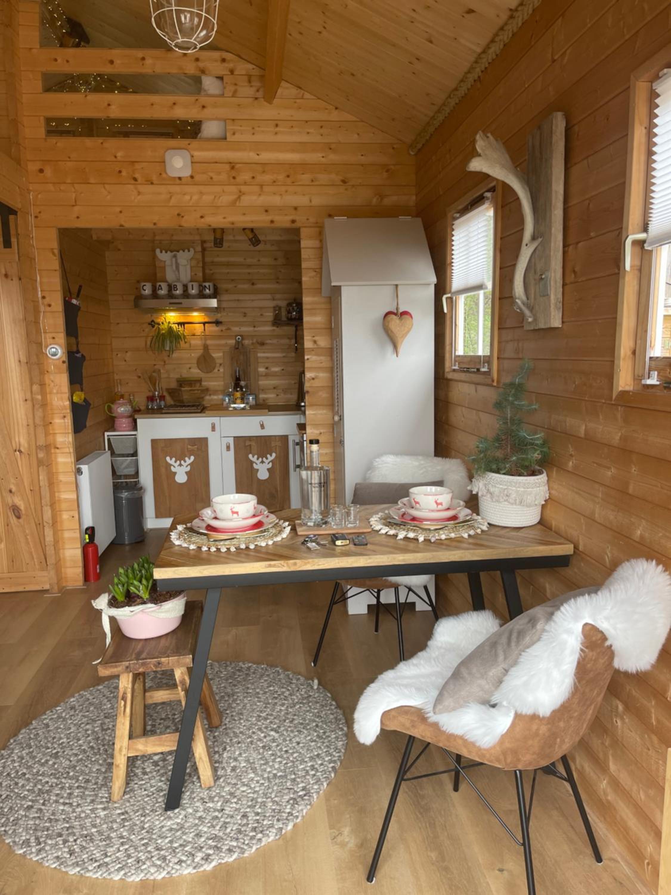 Cabin De Duinweg: direct aan duin en bos view 3