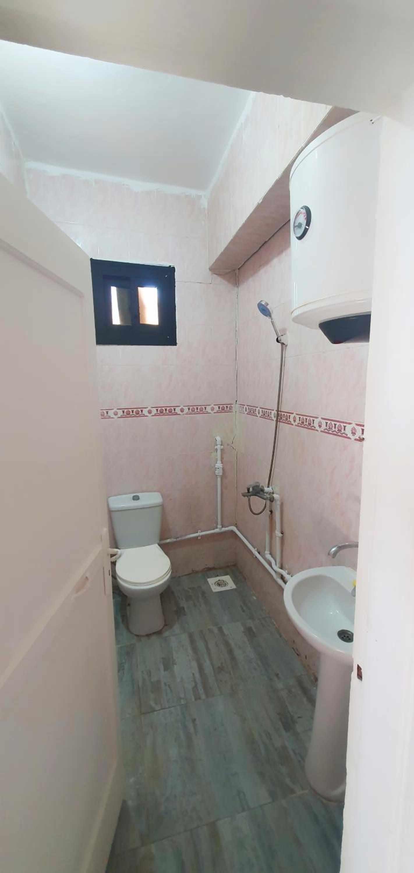 Dahab house octopus