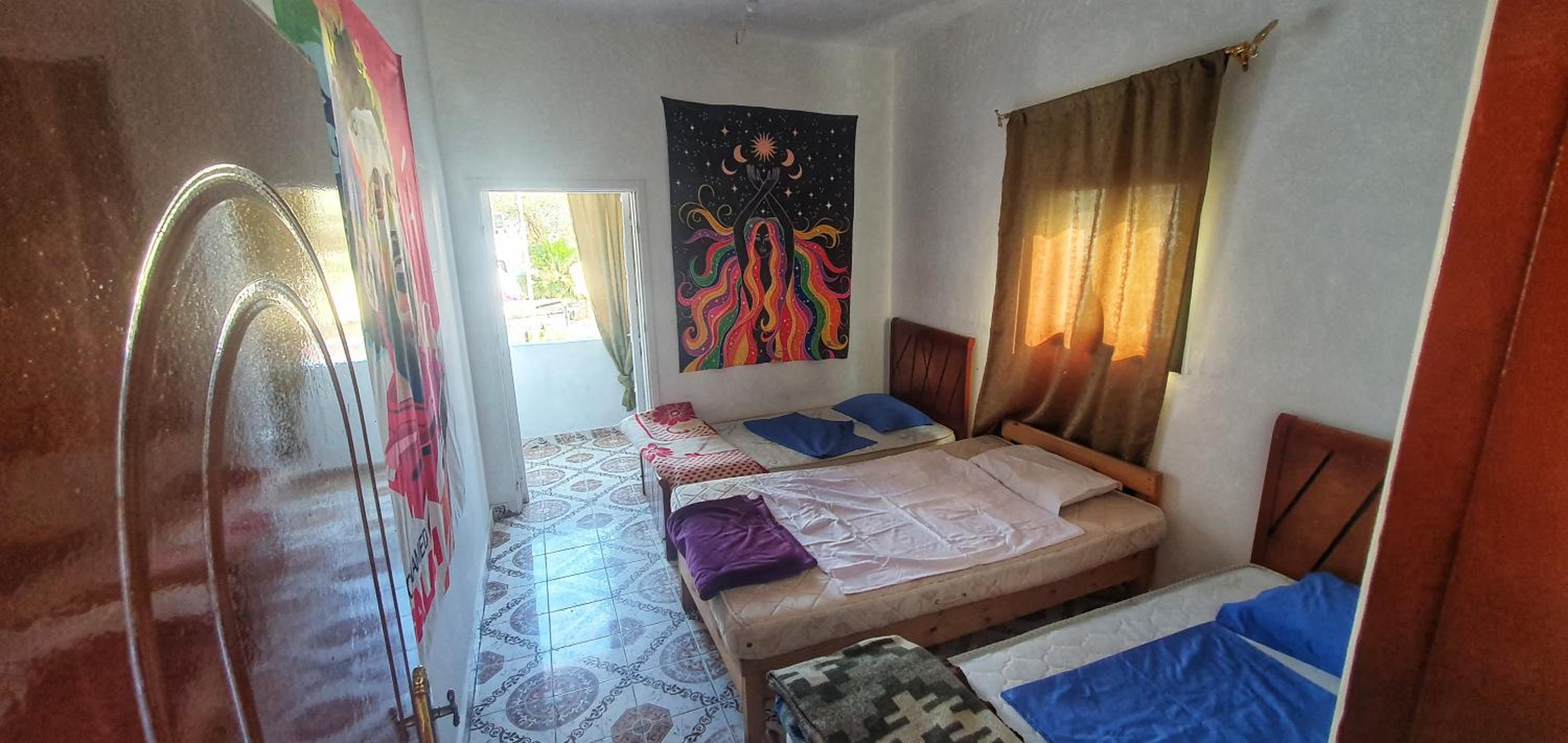 Dahab house octopus