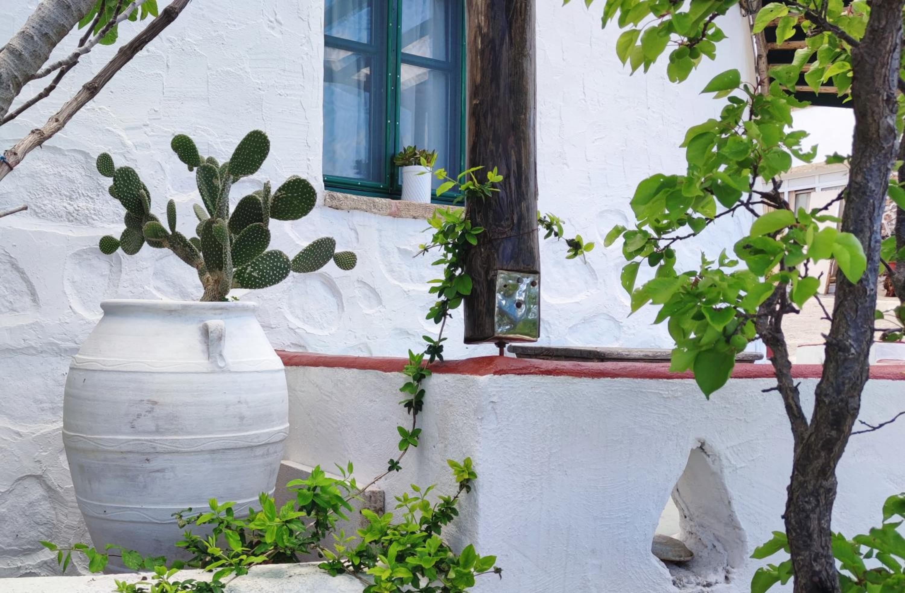 PATELO HOUSE