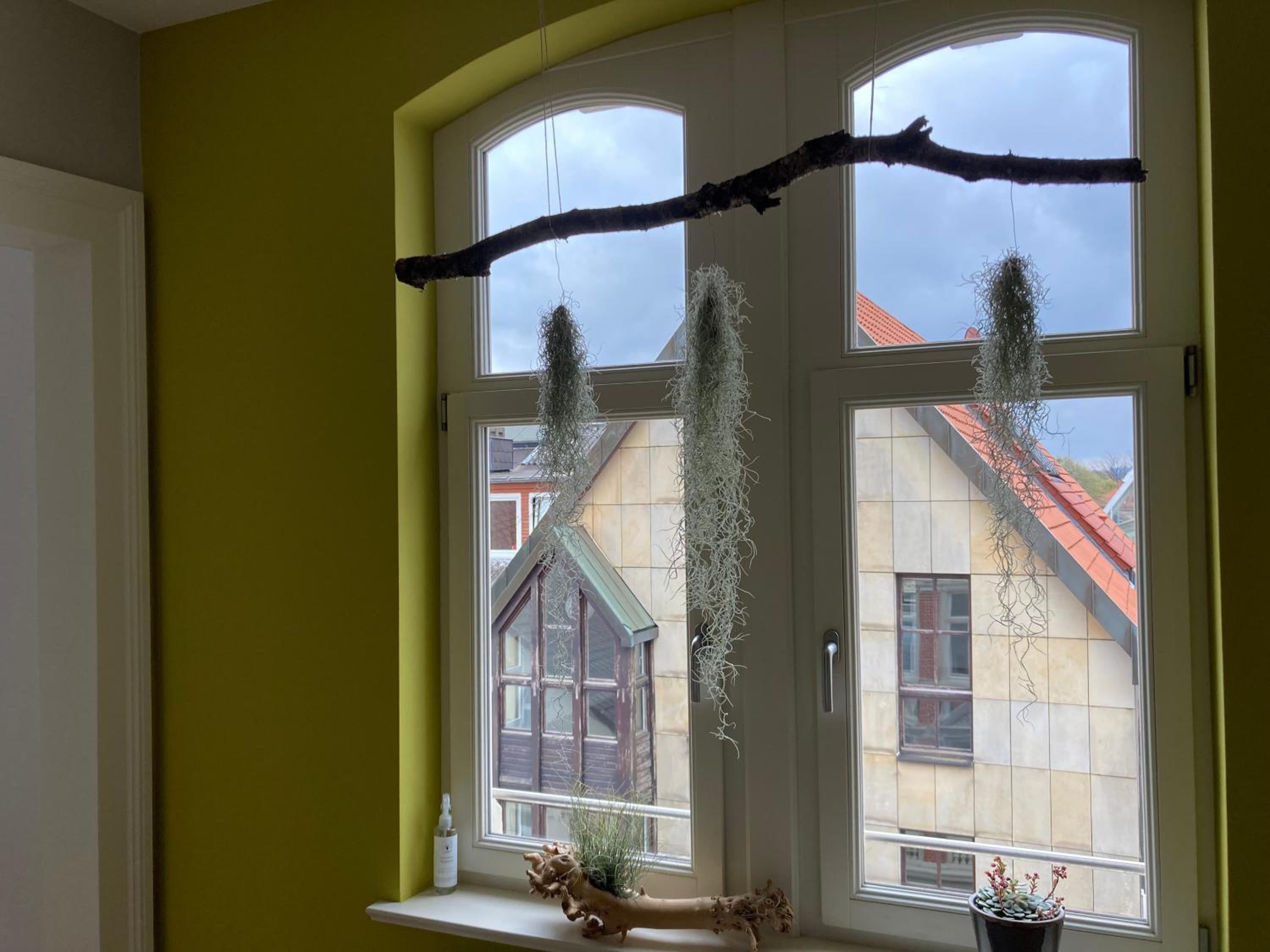 RaumAusbeute Design Apartment NaturRaum