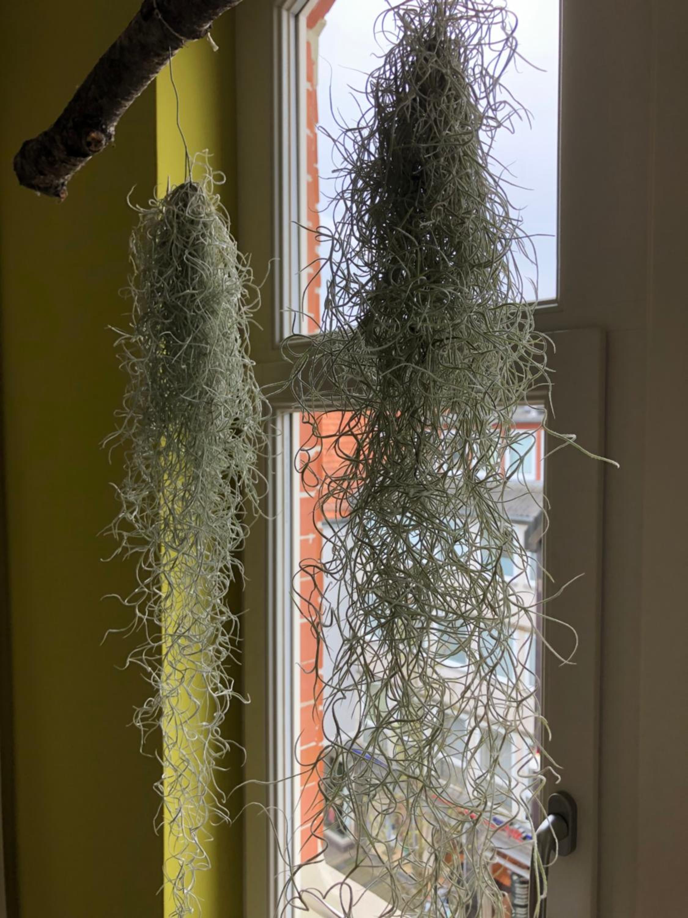 RaumAusbeute Design Apartment NaturRaum
