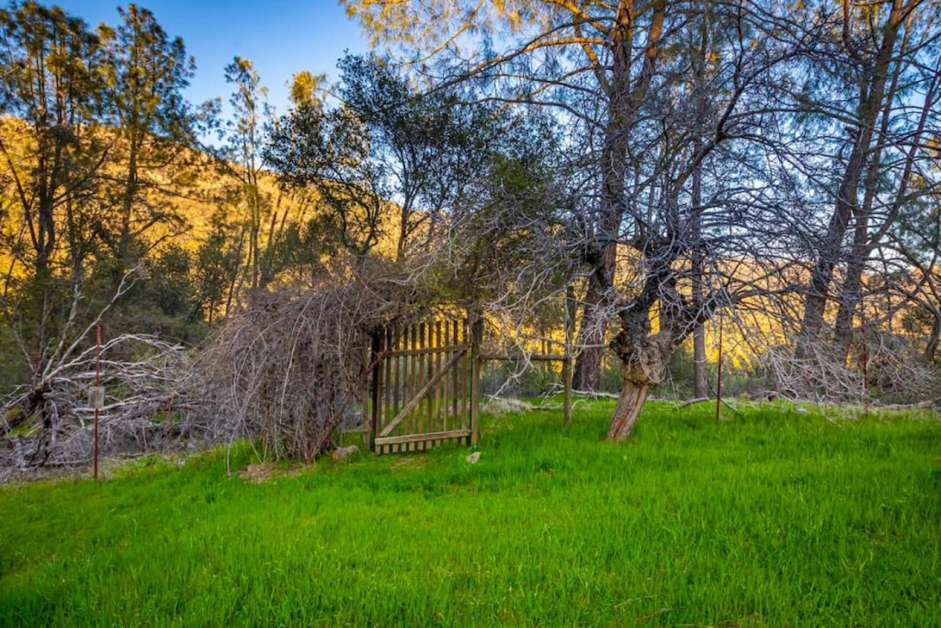 Sierra Vista Lookout Lodge with Creek, Waterfall and Waterholes, minutes from Bass Lake and Yosemite South Gate view 4