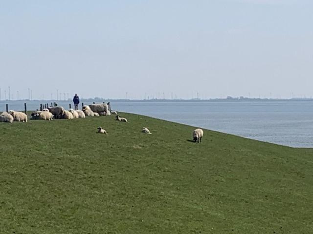 Meeresbrise 1