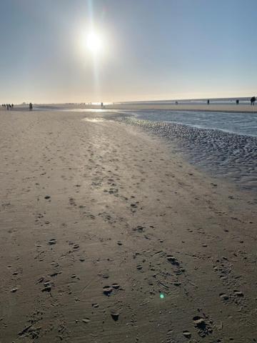 Meeresbrise 1