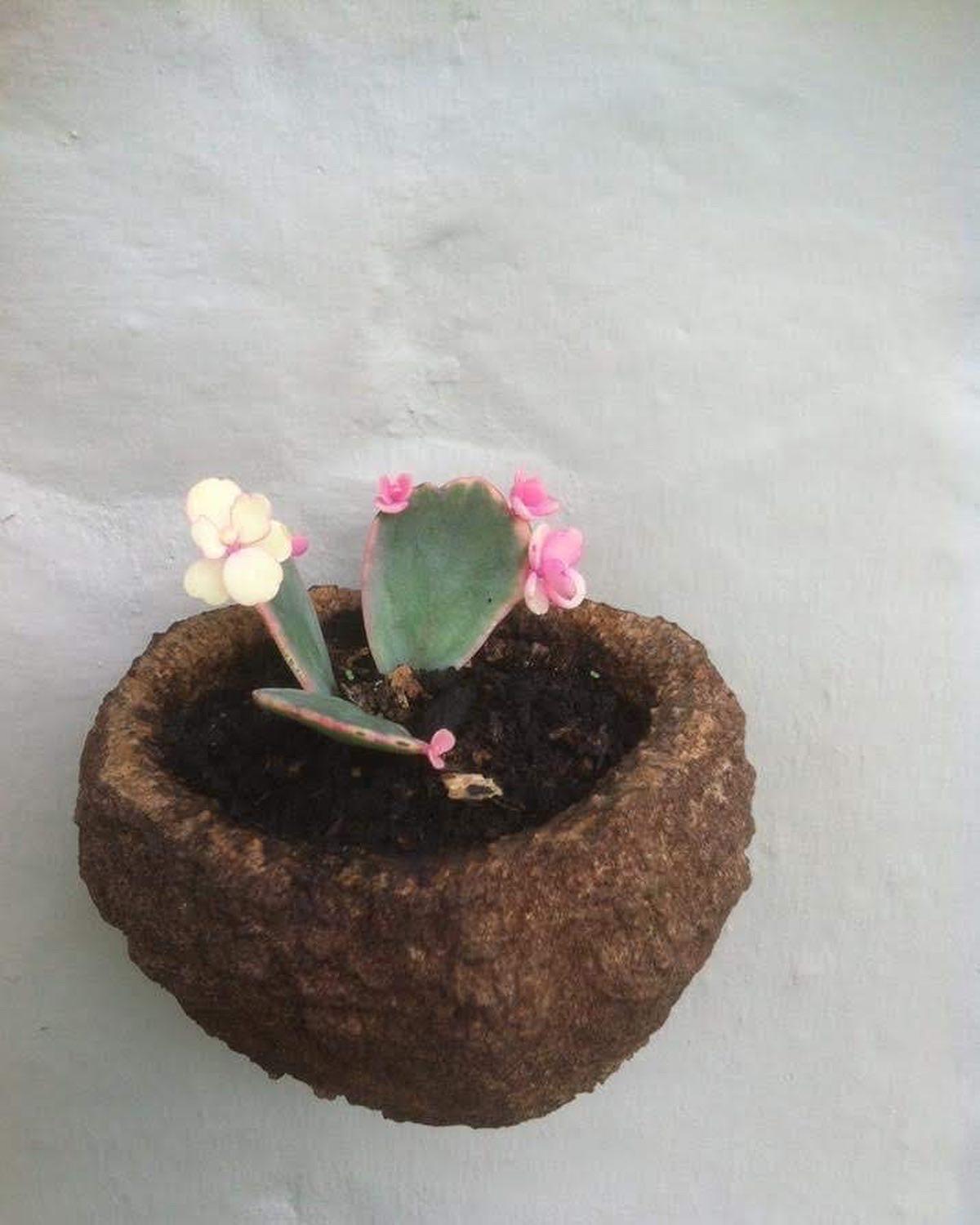 Photo 45