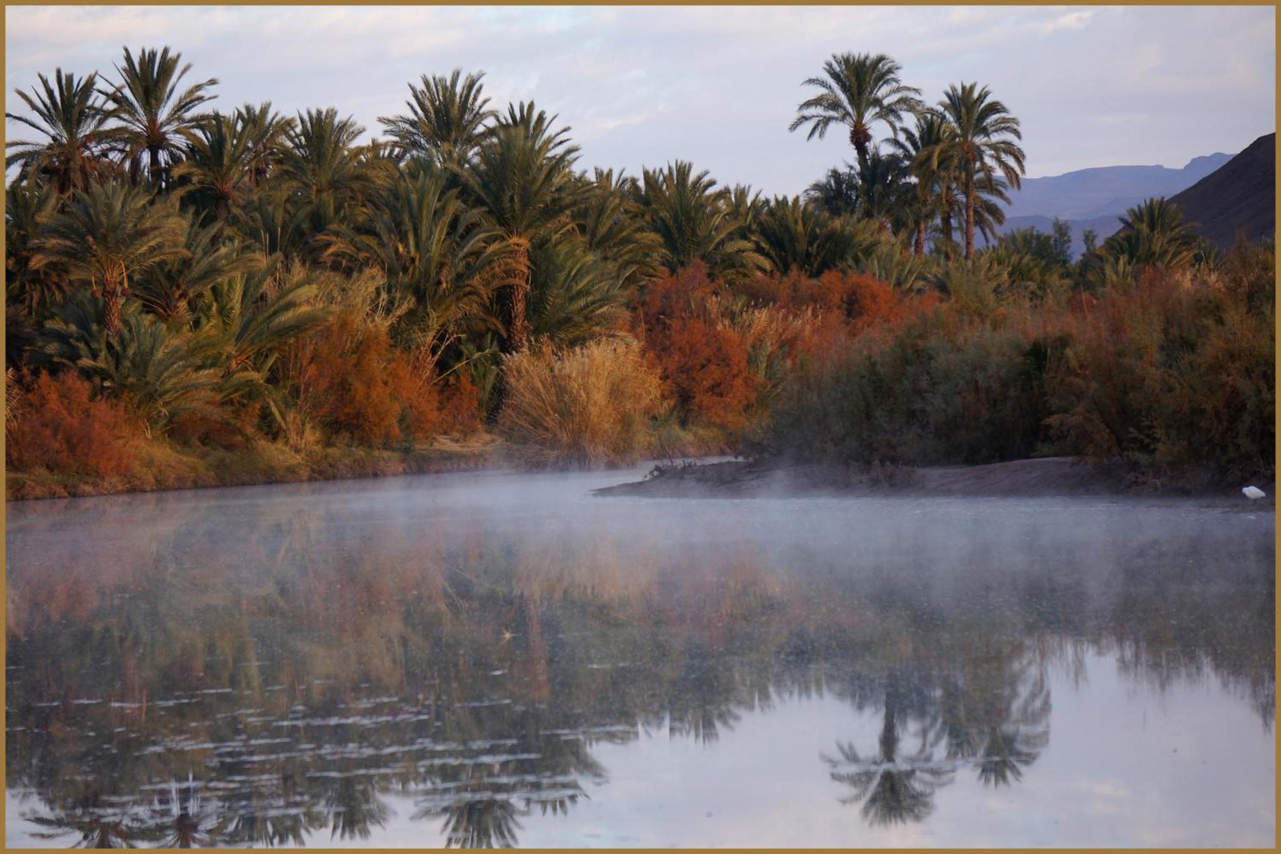 Lodge Hara Oasis