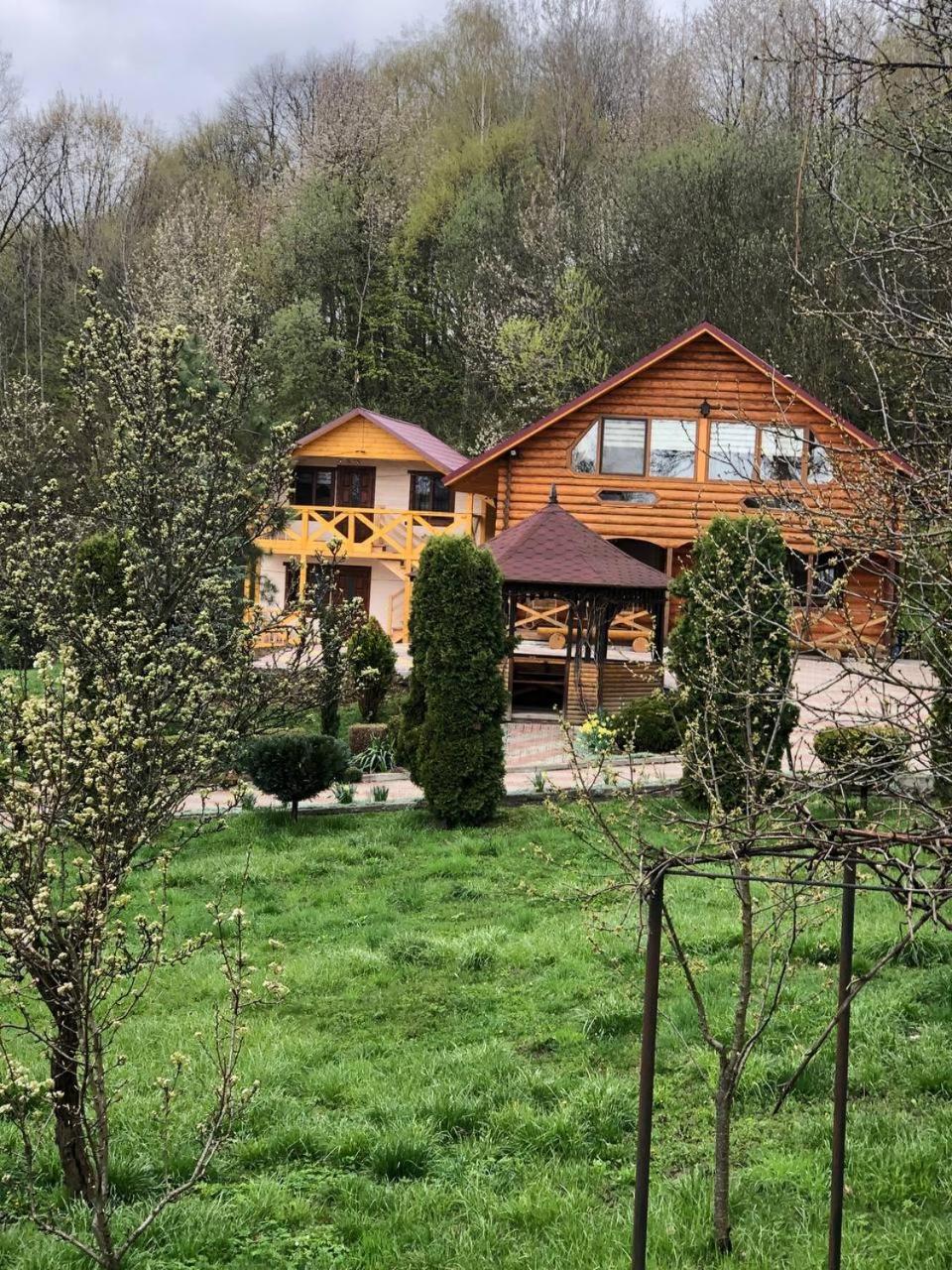 Карпатська Модрина view 2