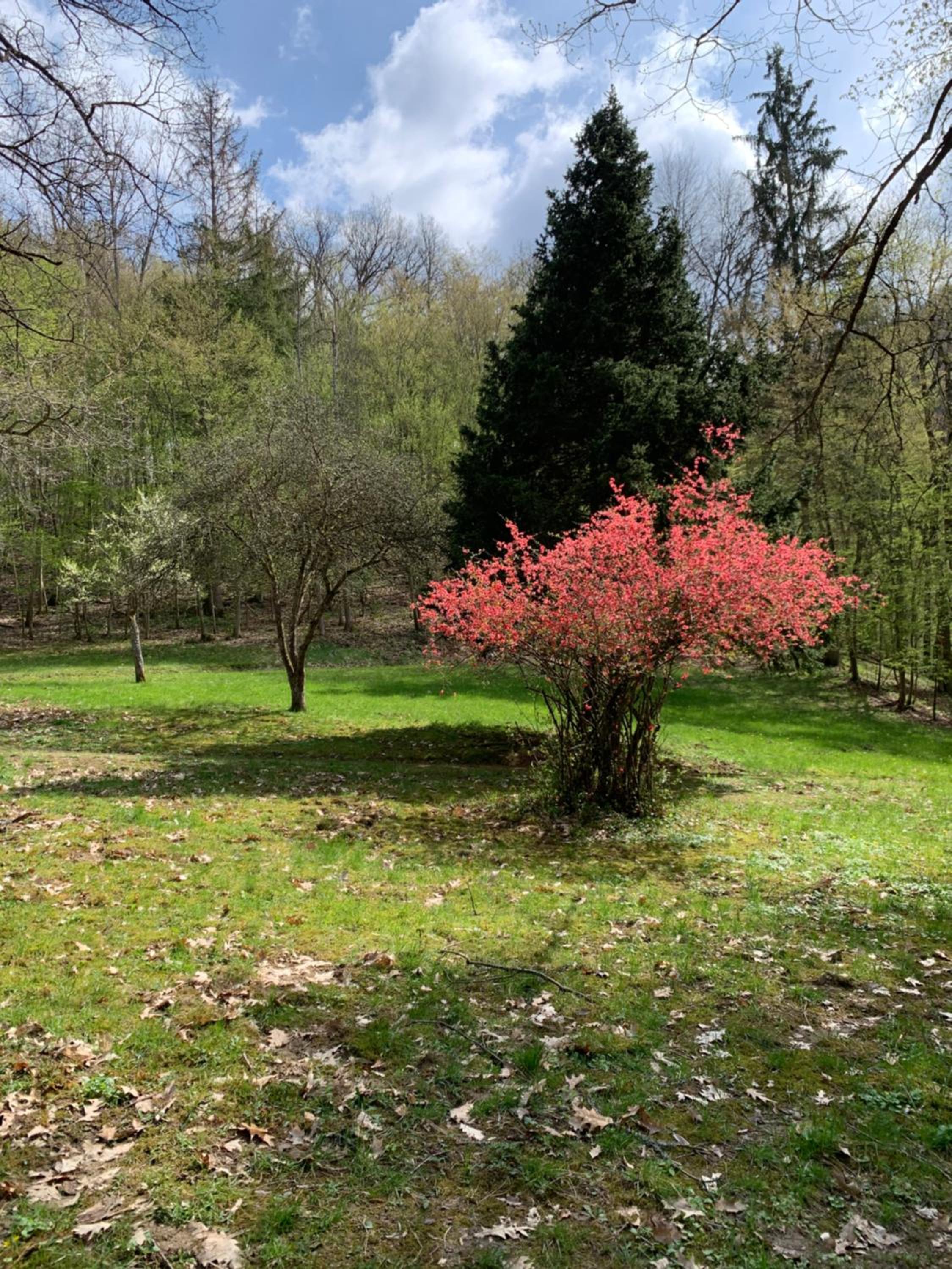 Landsitz Kammerburg