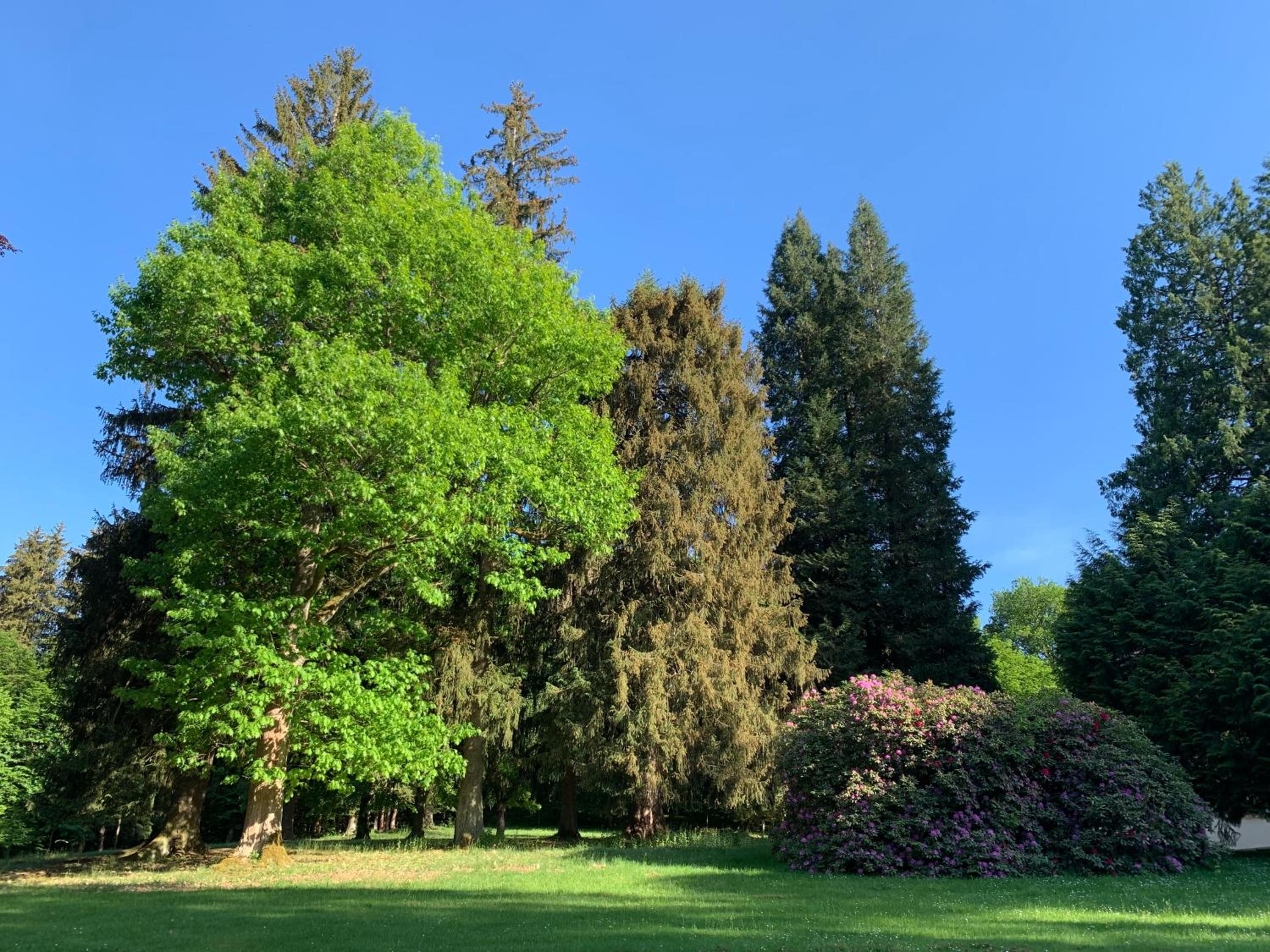 Landsitz Kammerburg